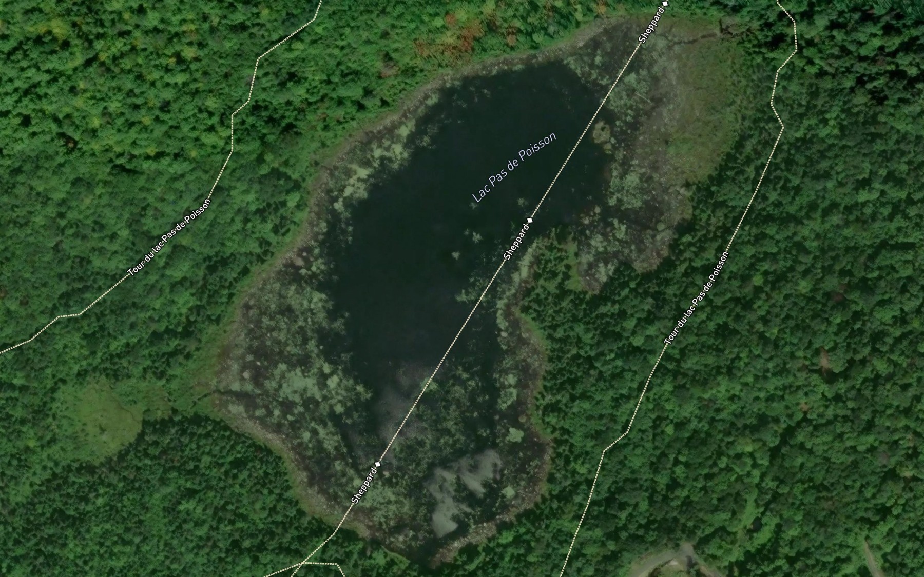 Satellite map of the Lac Pas de Poisson