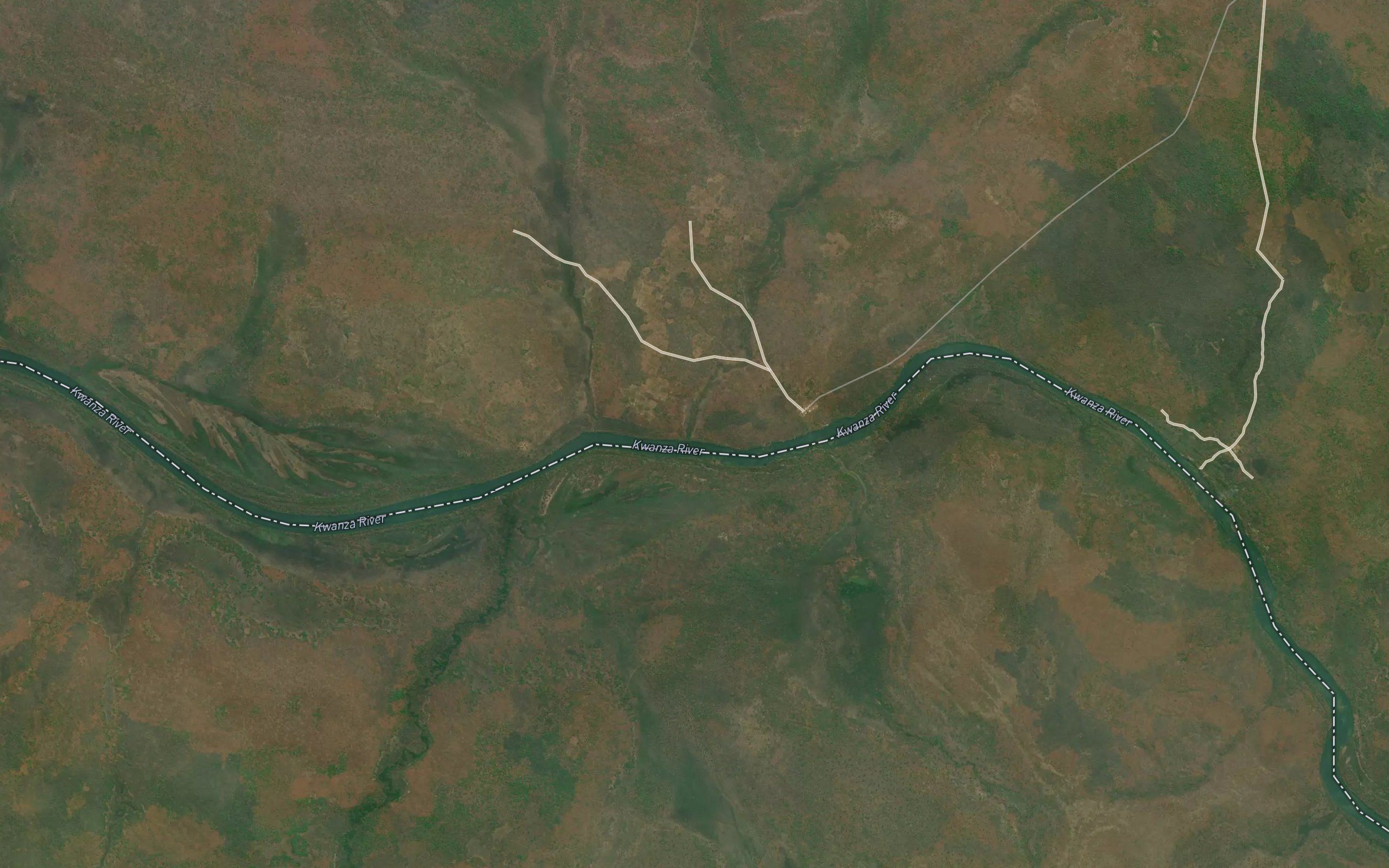 Canguri