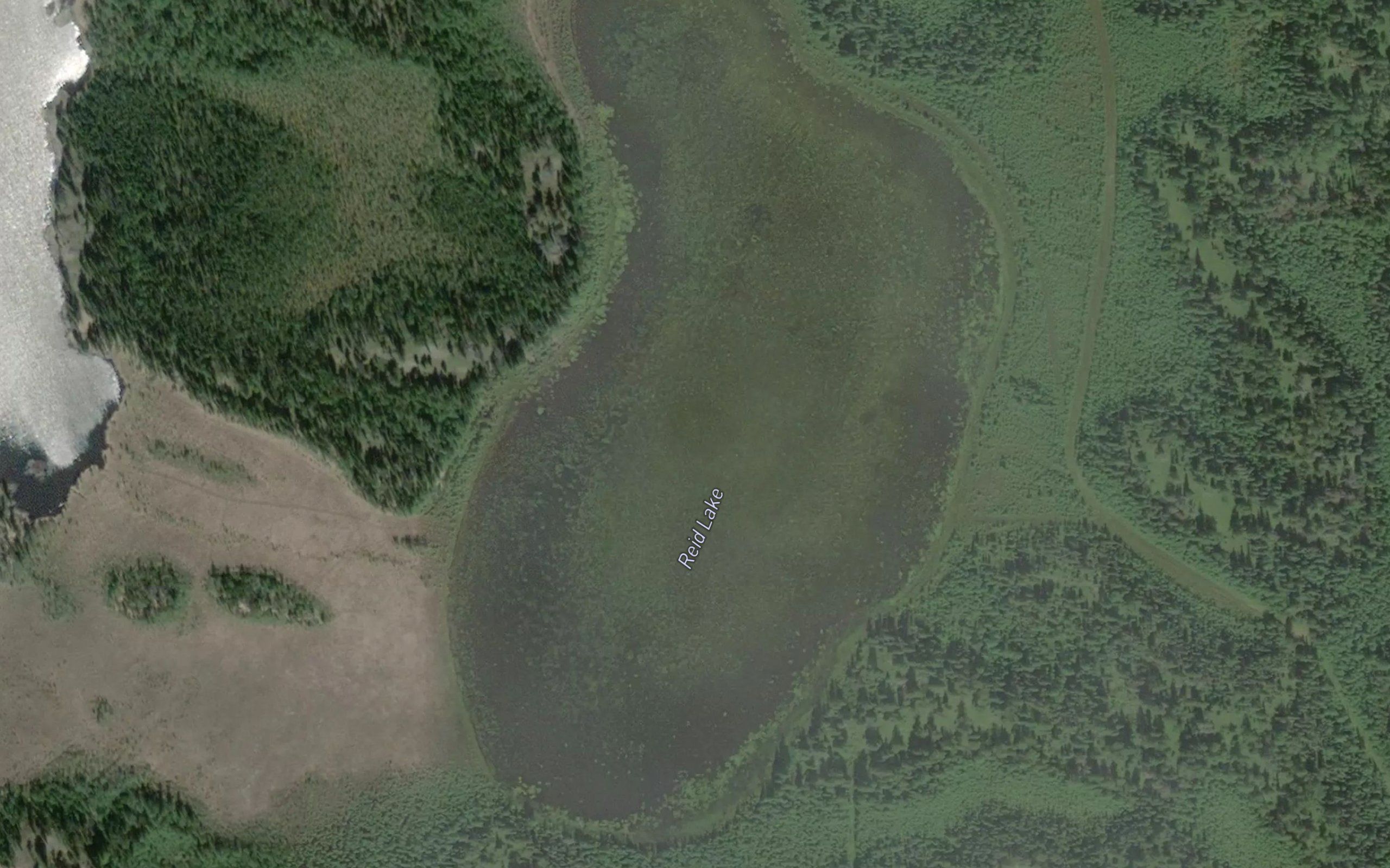Reid Lake