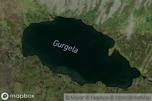 Gurgela