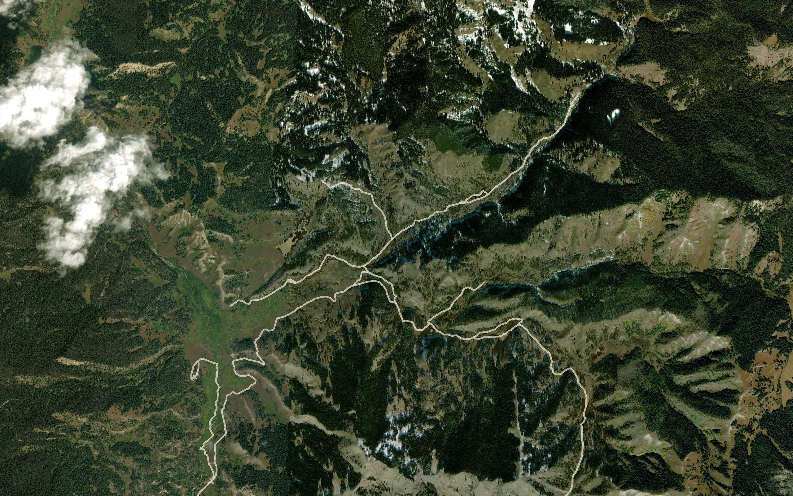 Negrohead Fork