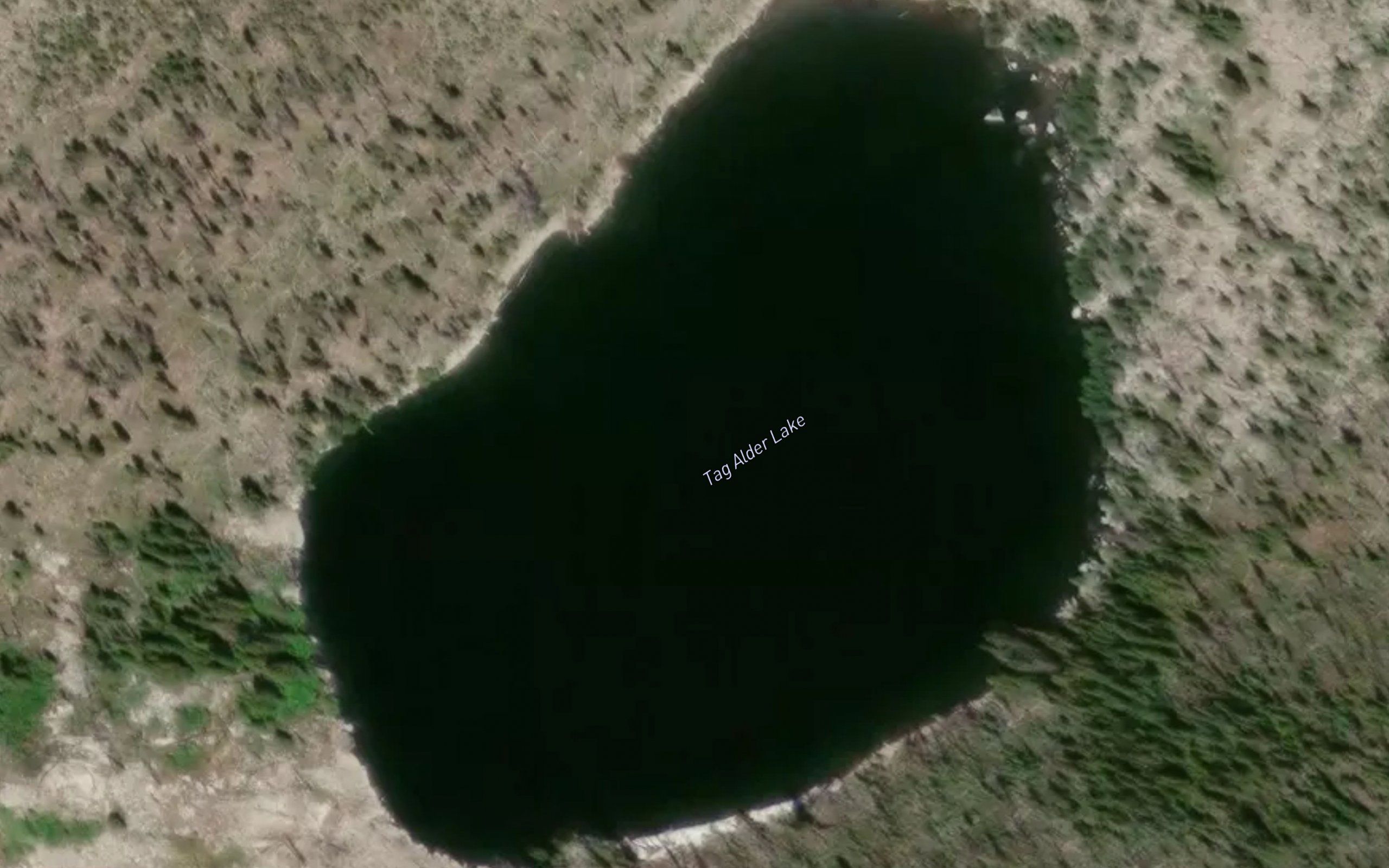 Tag Alder Lake