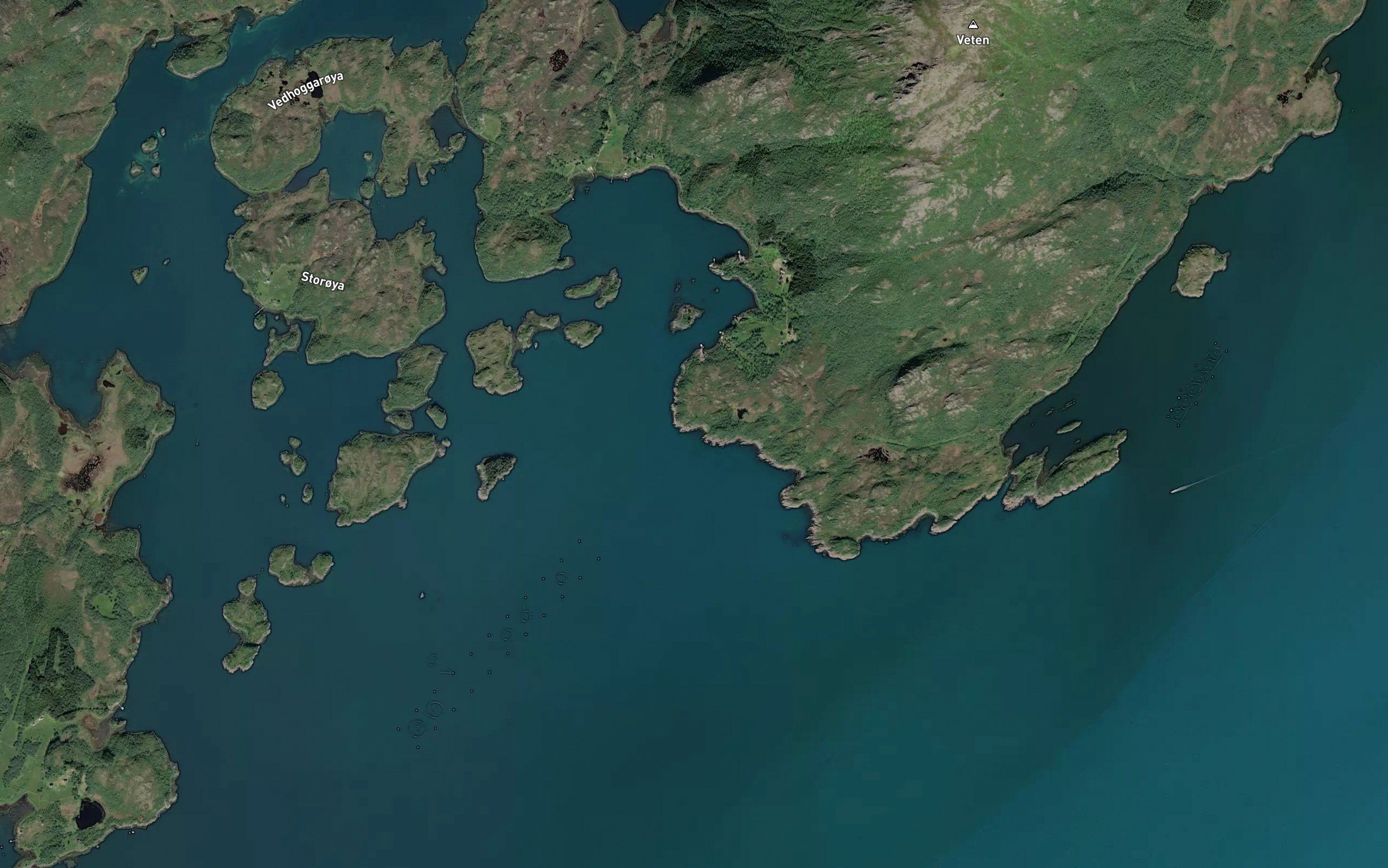Saubukta