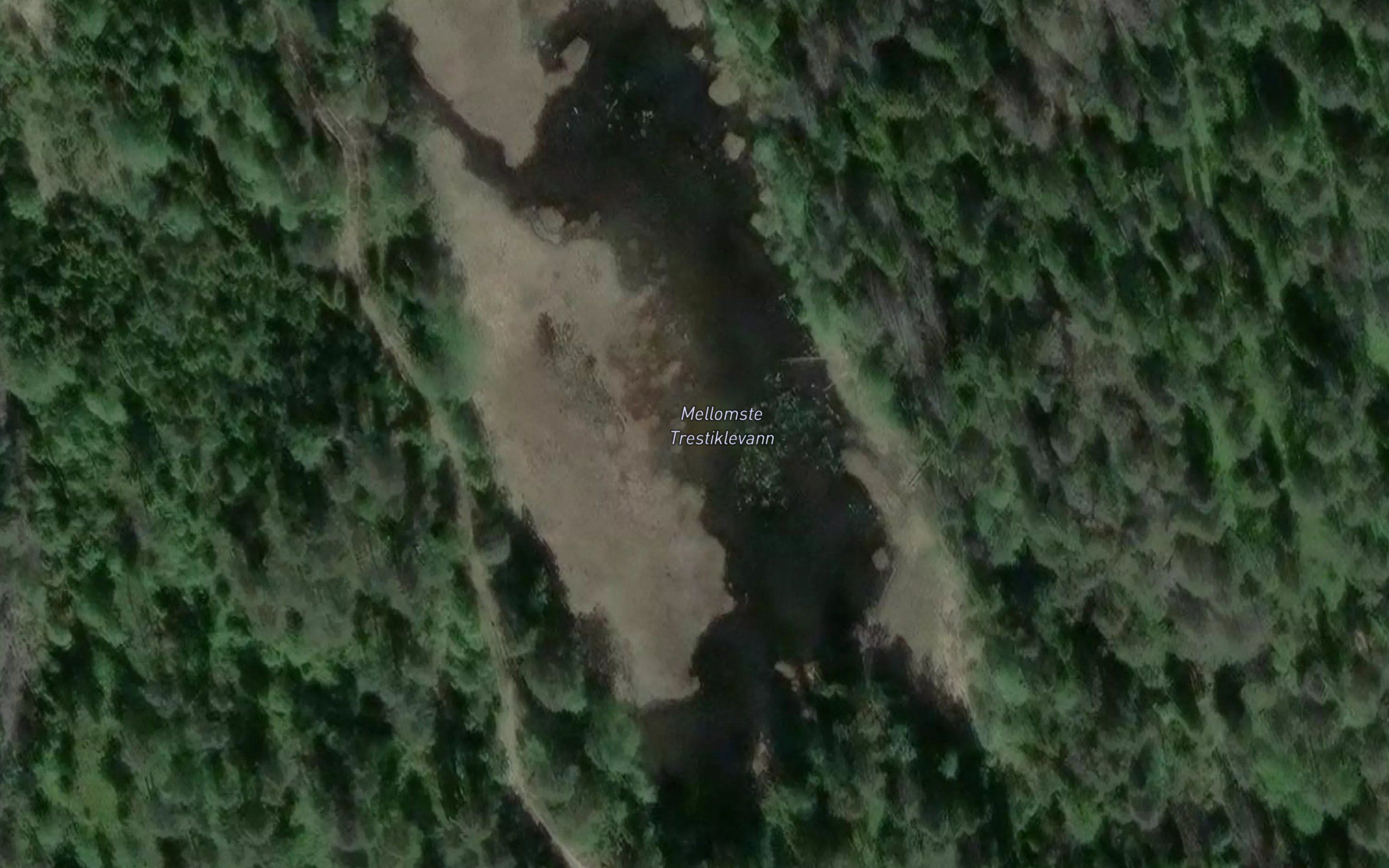Mellomste Trestikelvann