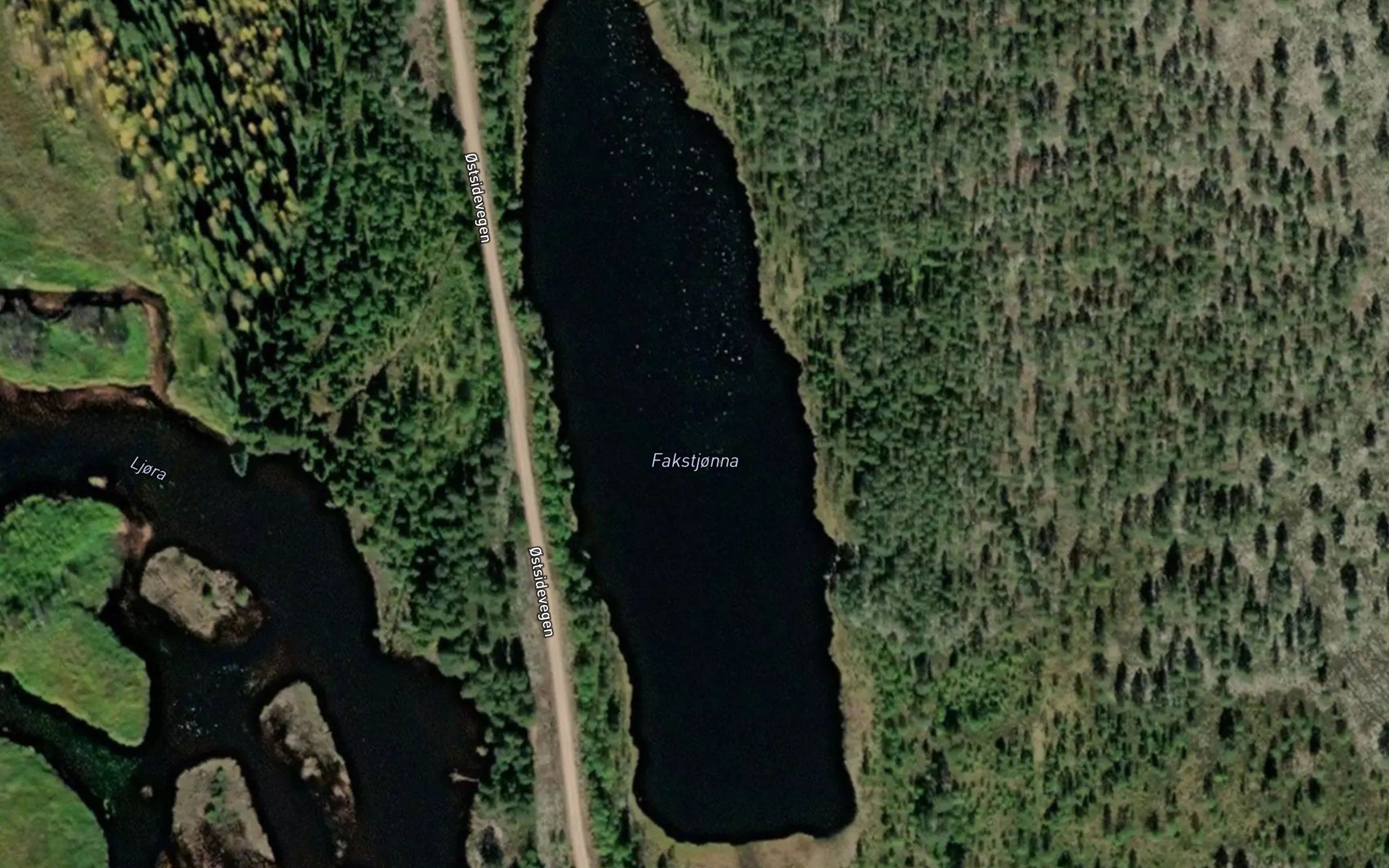 Fakstjorna