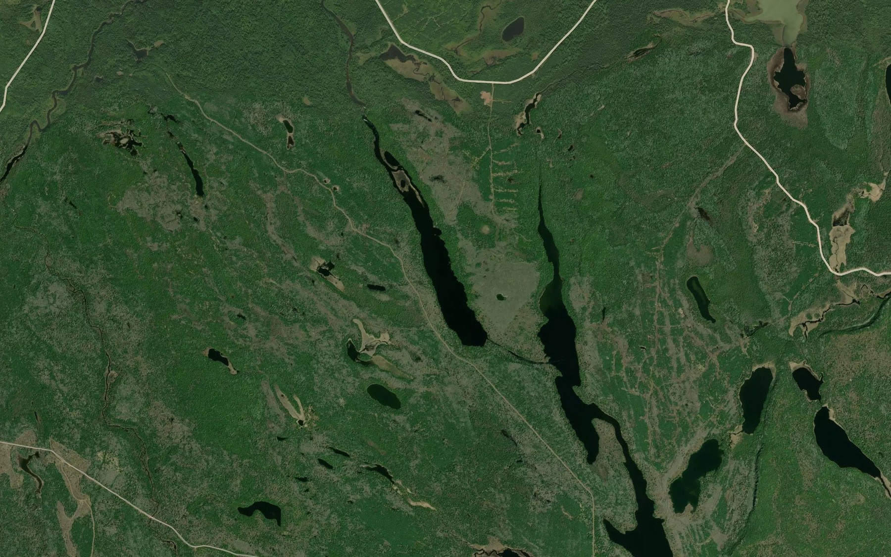 Satellite map of the Venice Lake