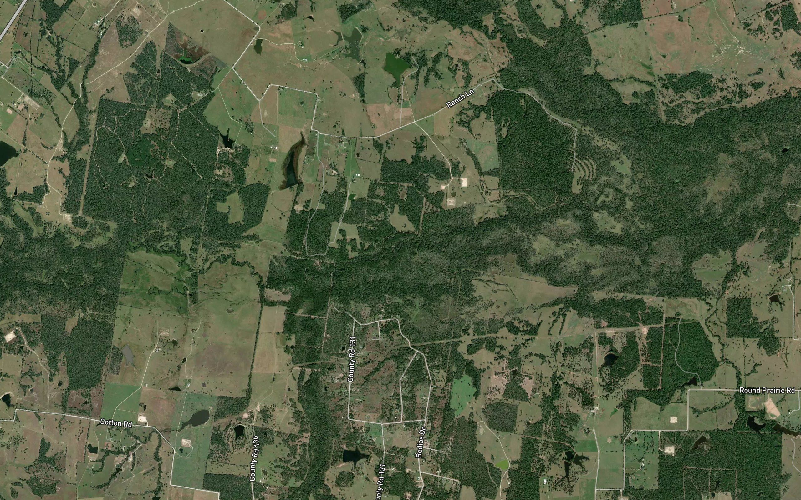 Bedias Creek