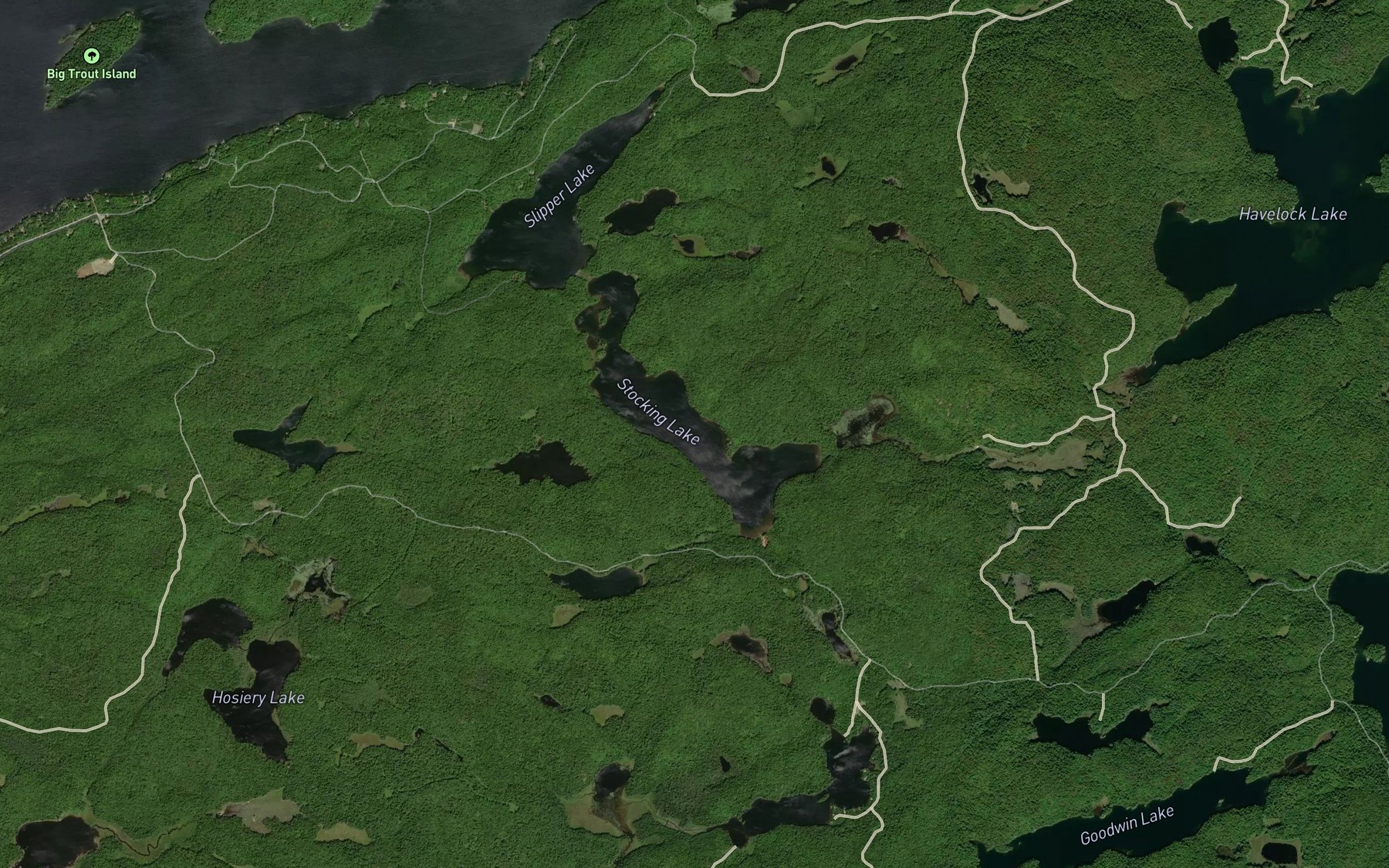 Satellite map of the Stocking Lake