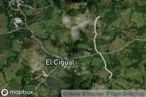 Quebrada El Cigual