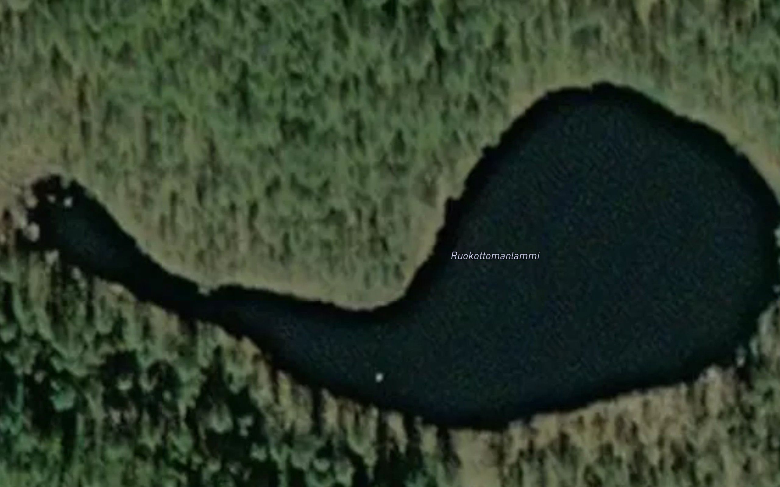 Ruokottomanlammi