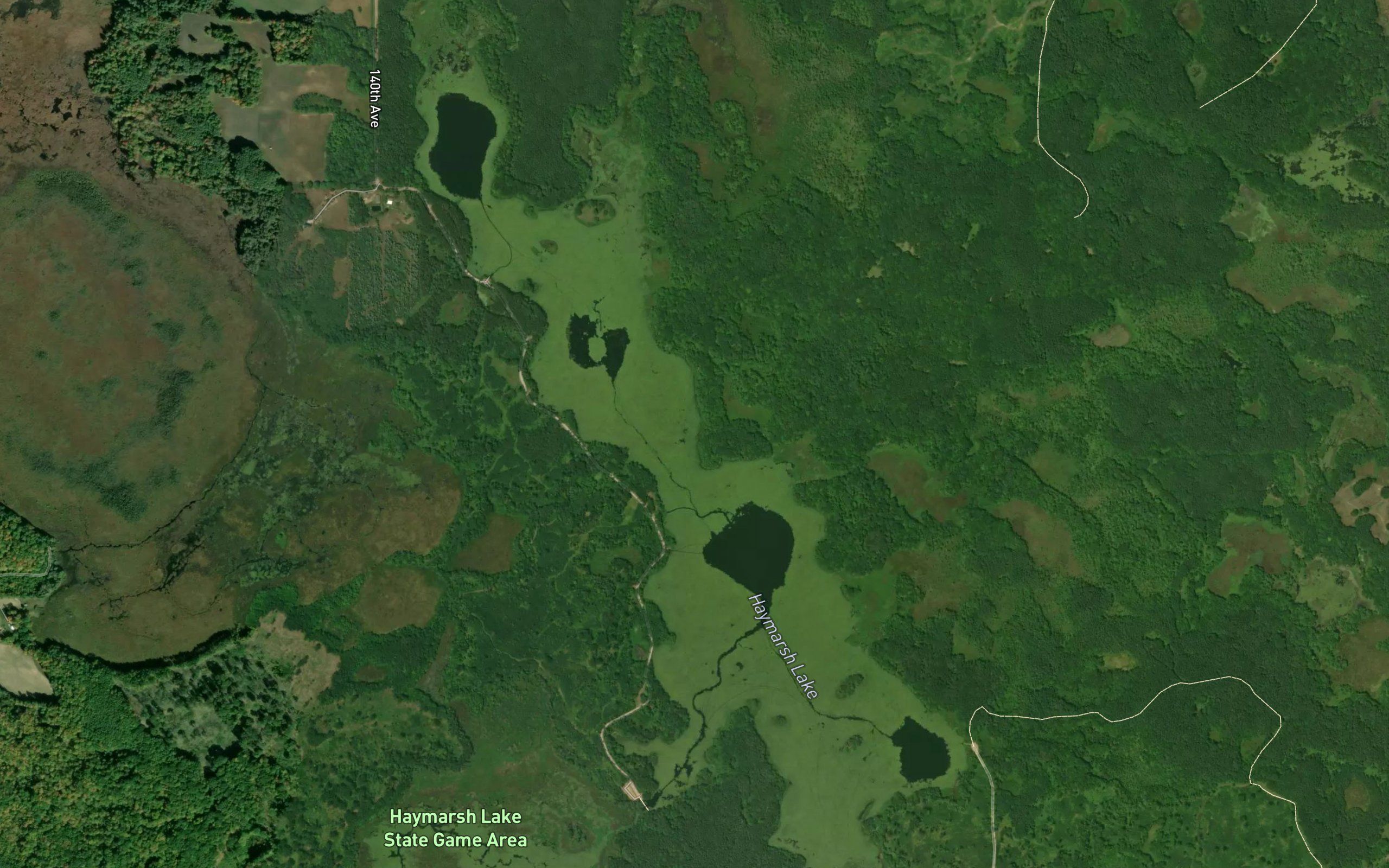 Haymarsh Lakes