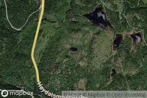 Svarttjonn