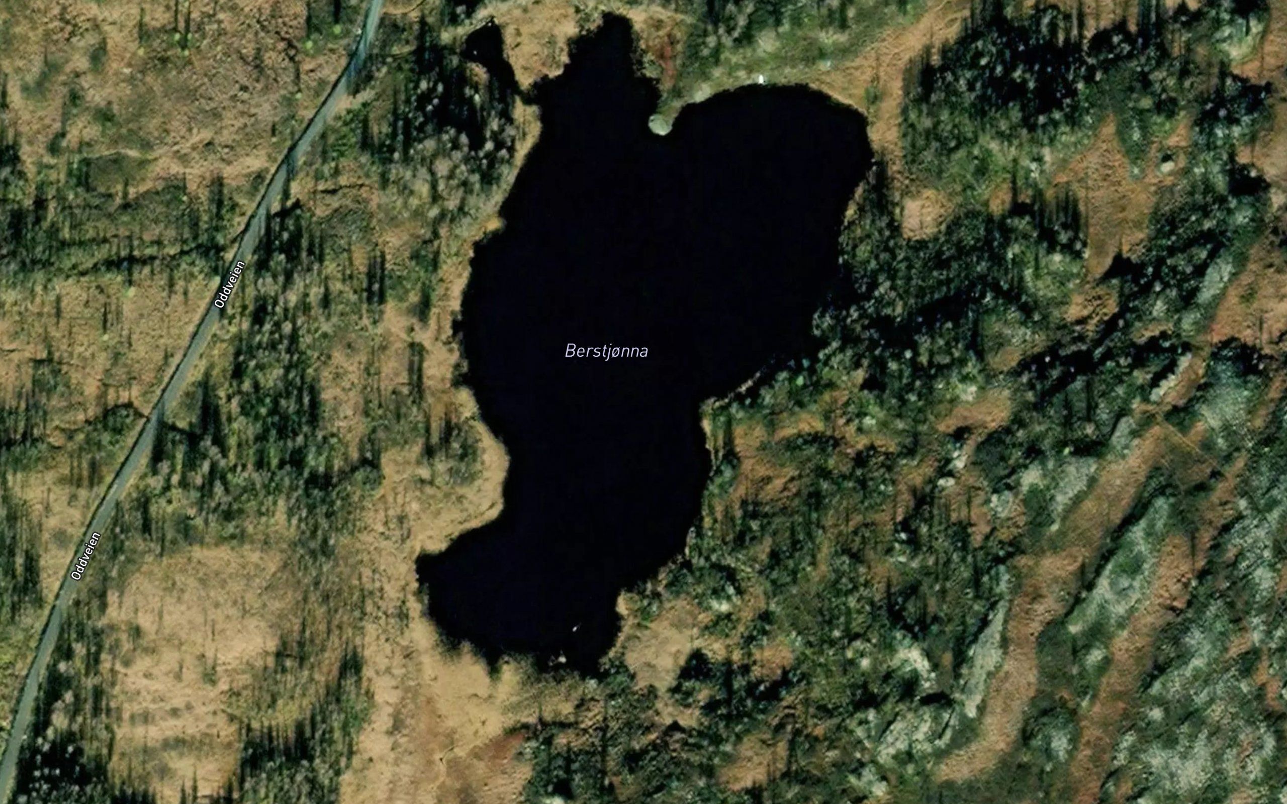 Berstjorn
