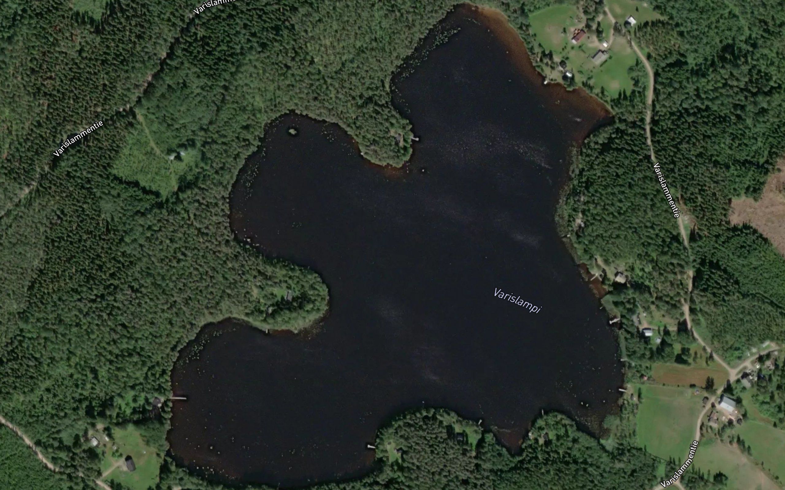 Varislampi