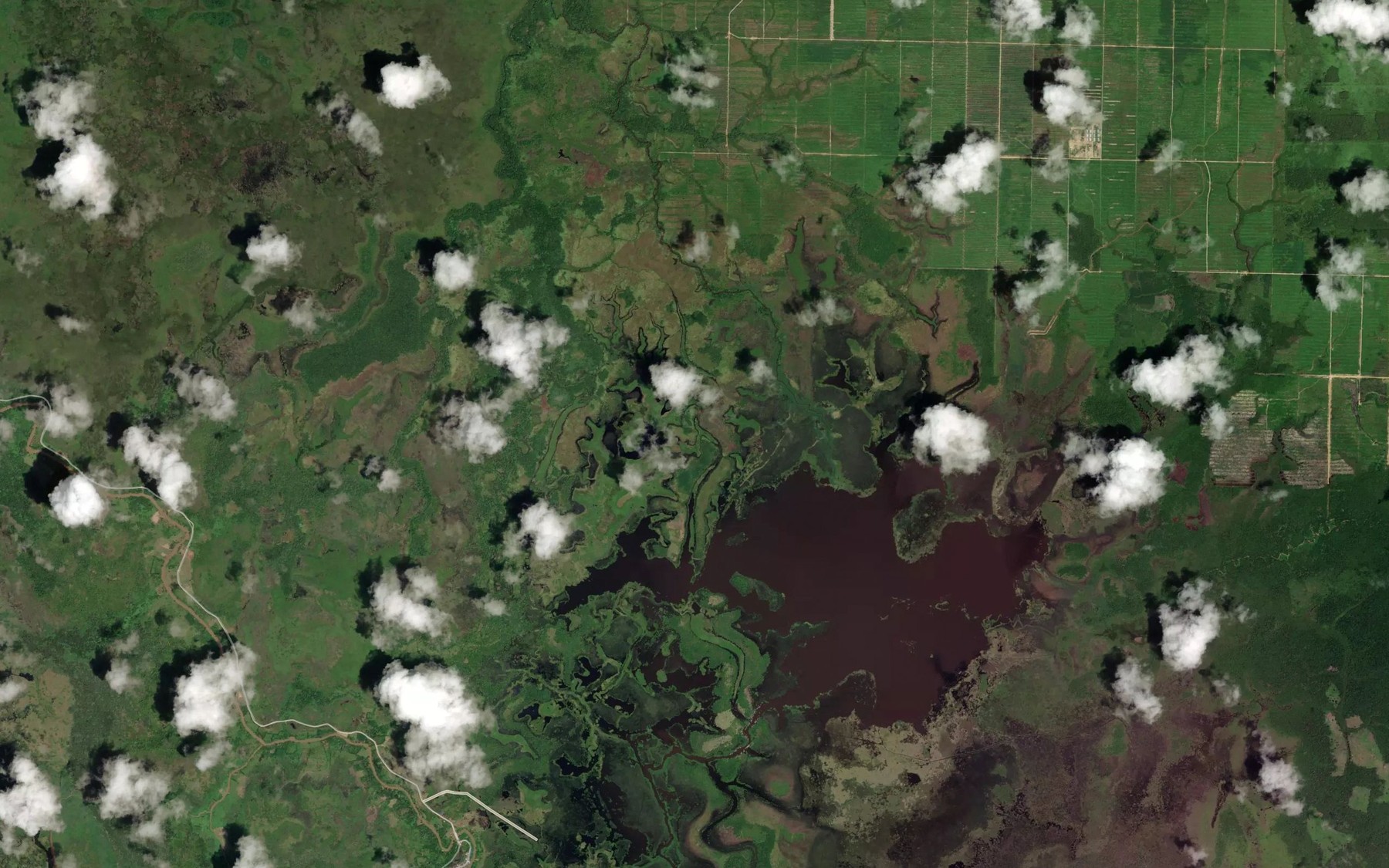 Satellite map of the Kenohan Pedangapi