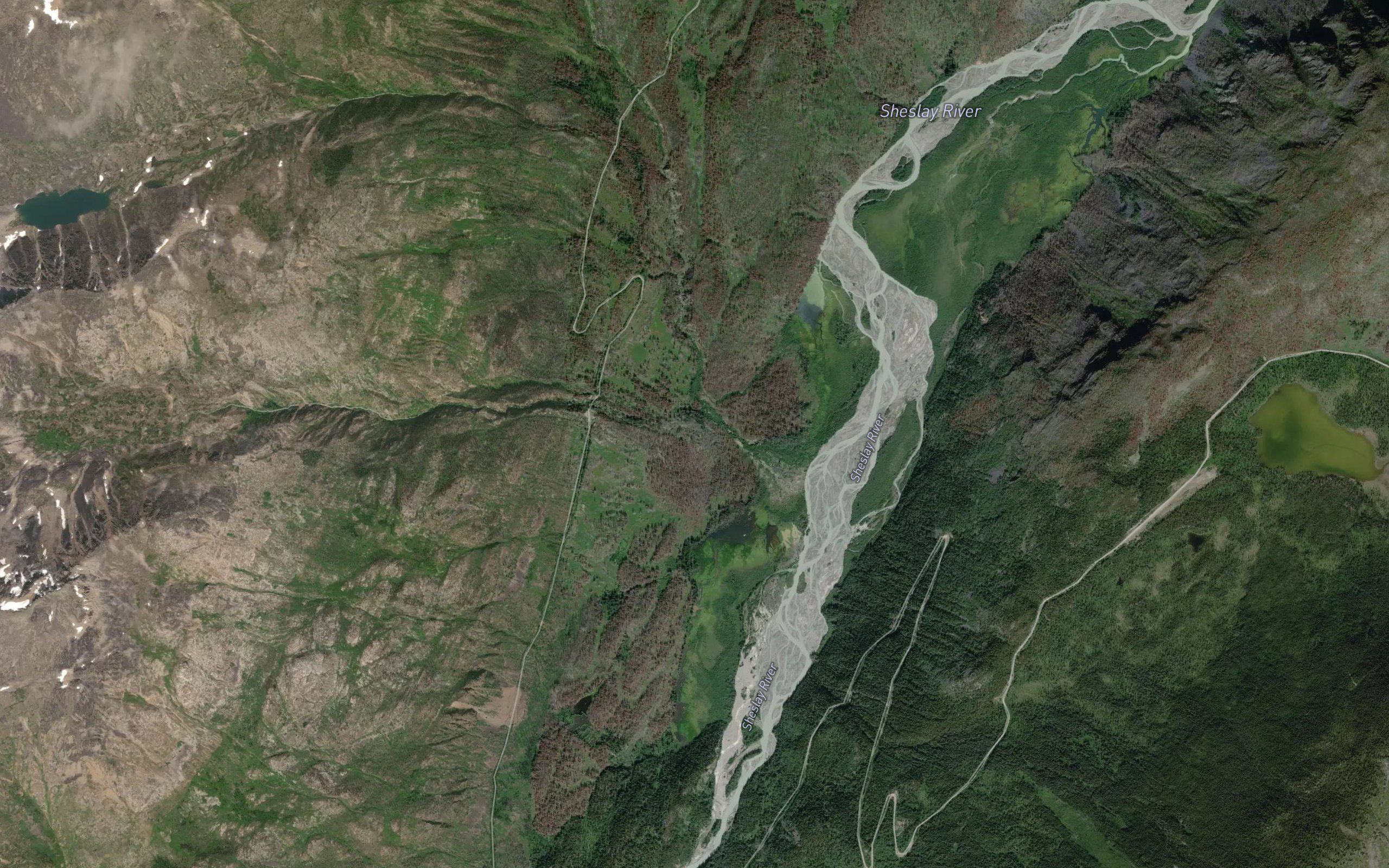 Hoh Creek