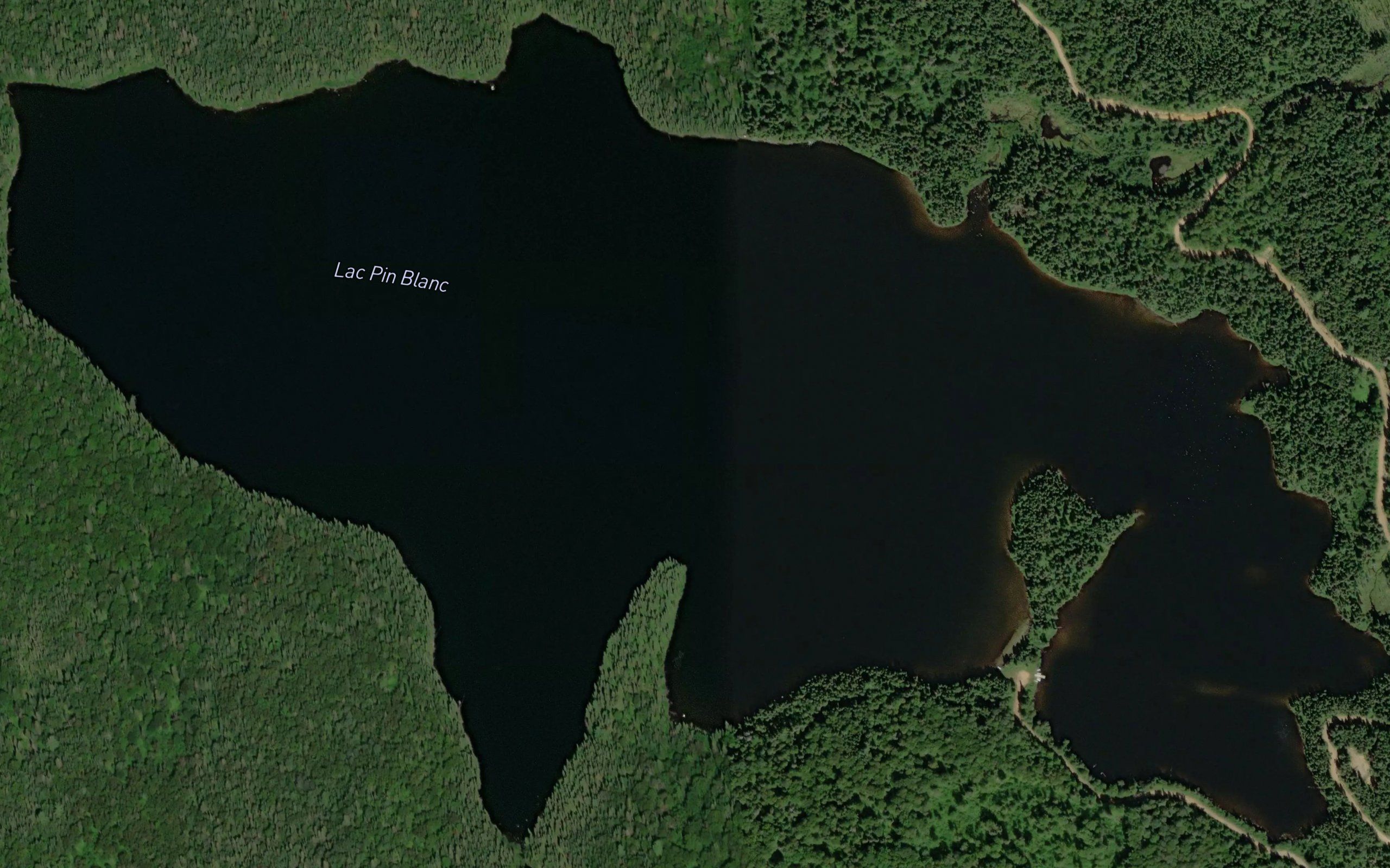 Lac Pin Blanc