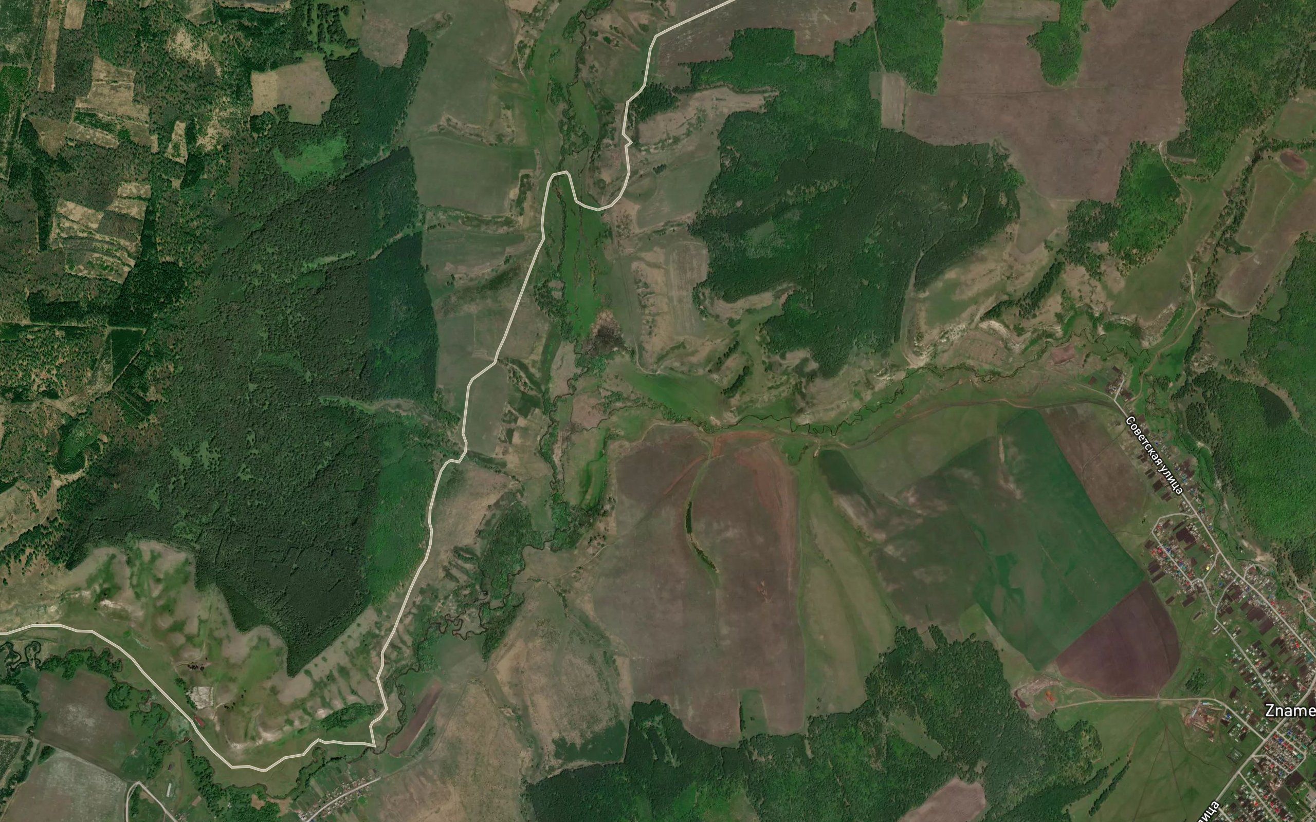 Kutuzinka