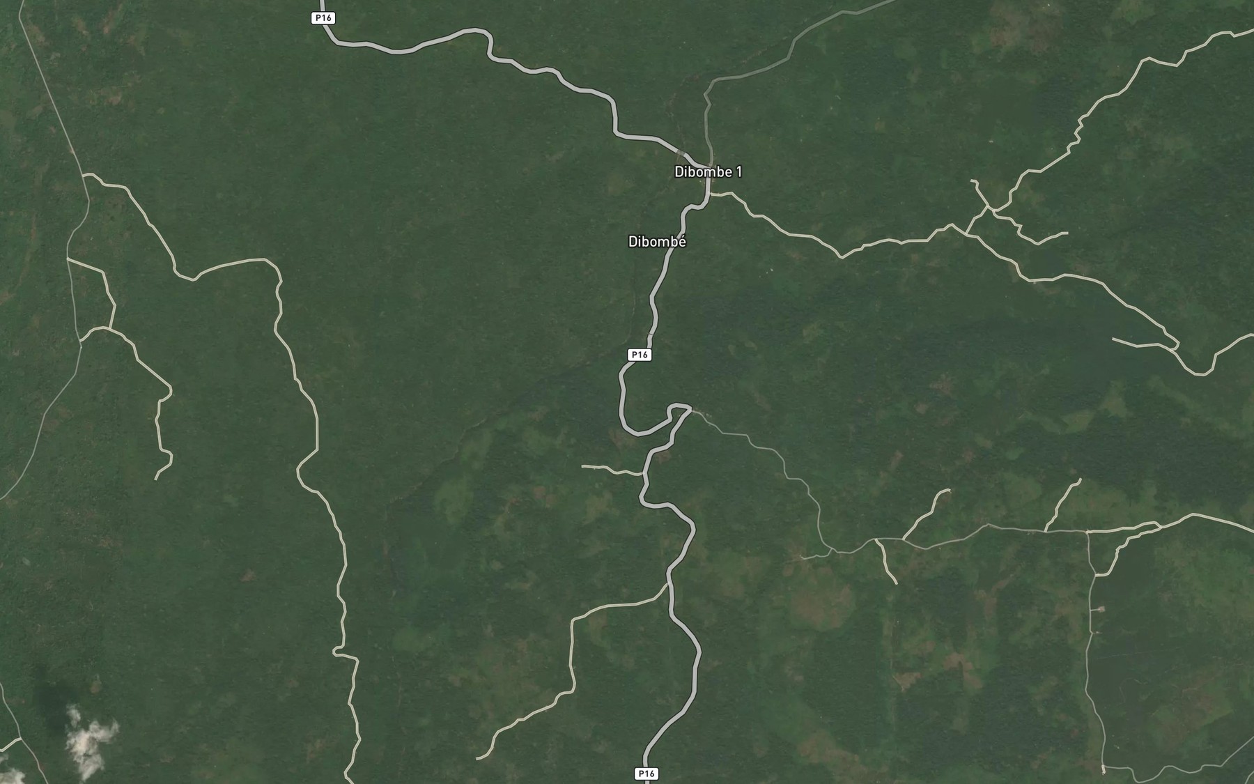 Satellite map of the Nyanja