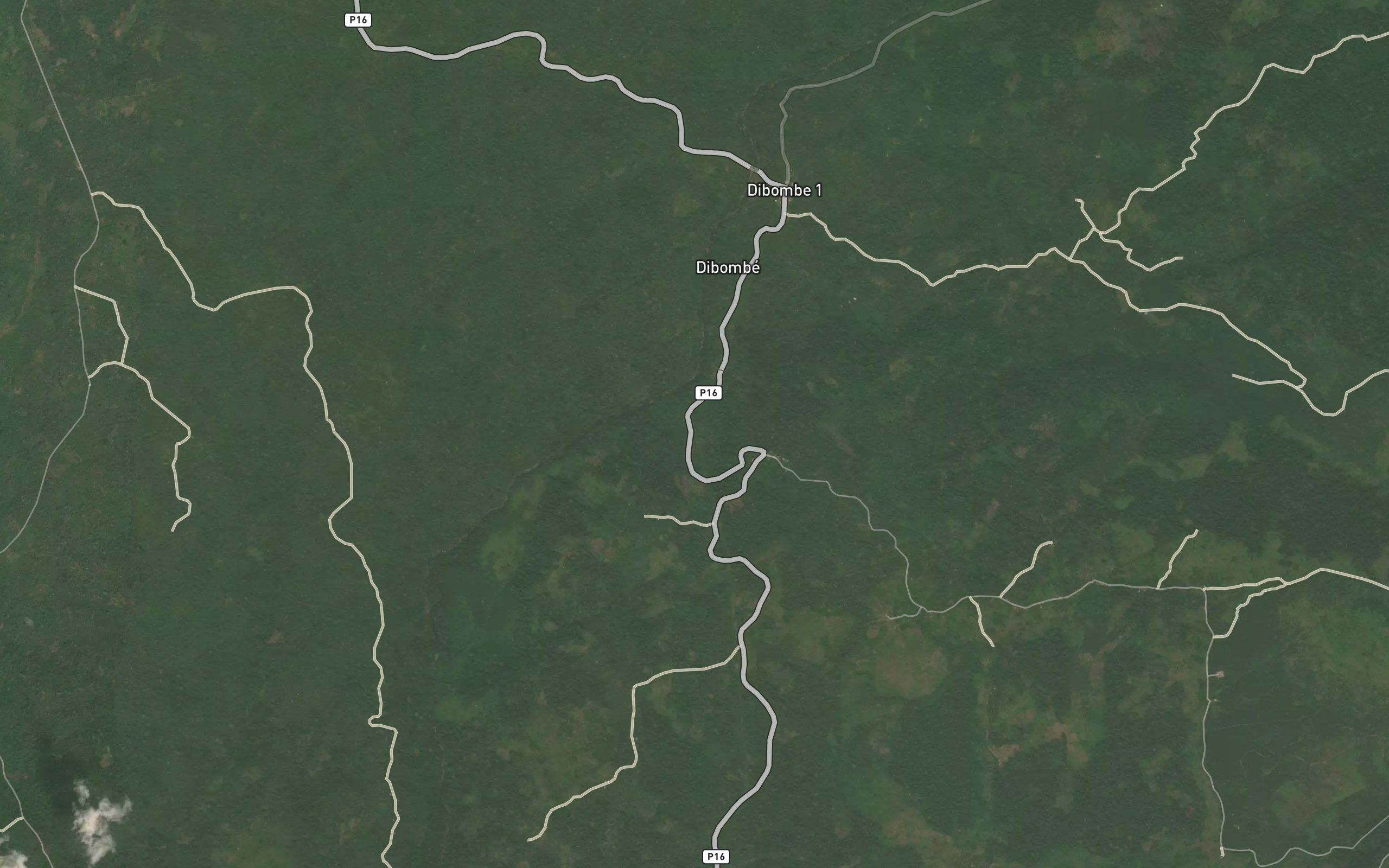 Nyanja