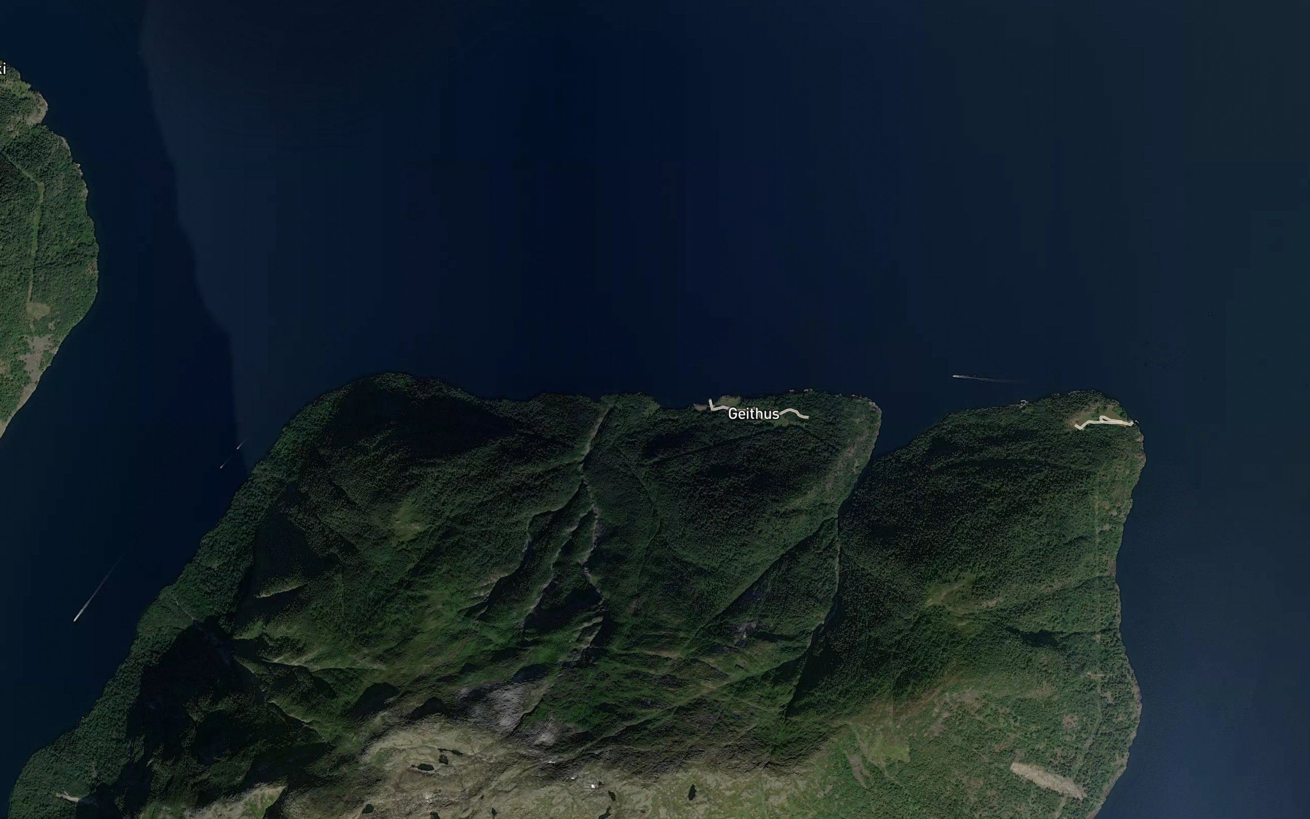 Kvernhusviki