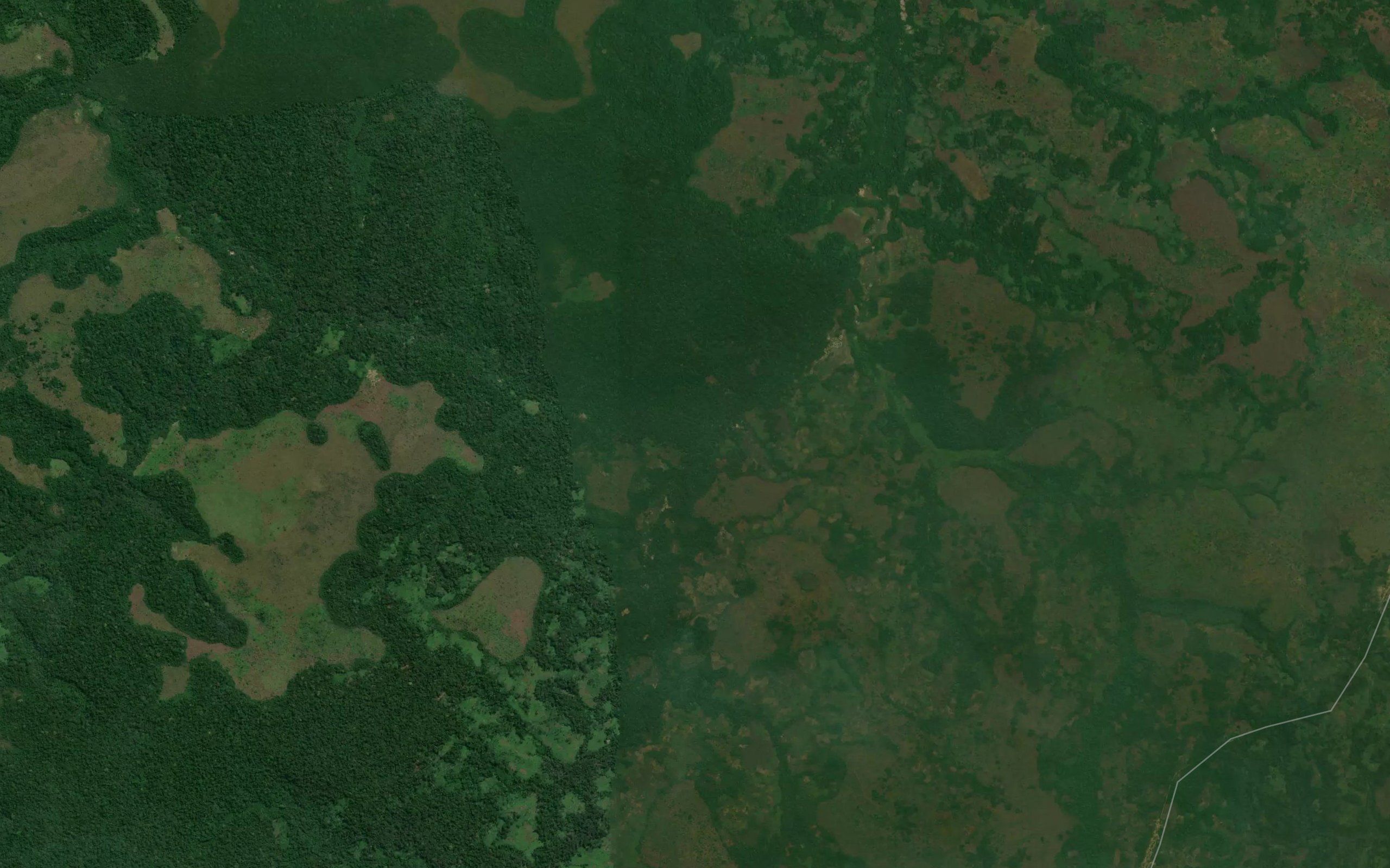 Biabia