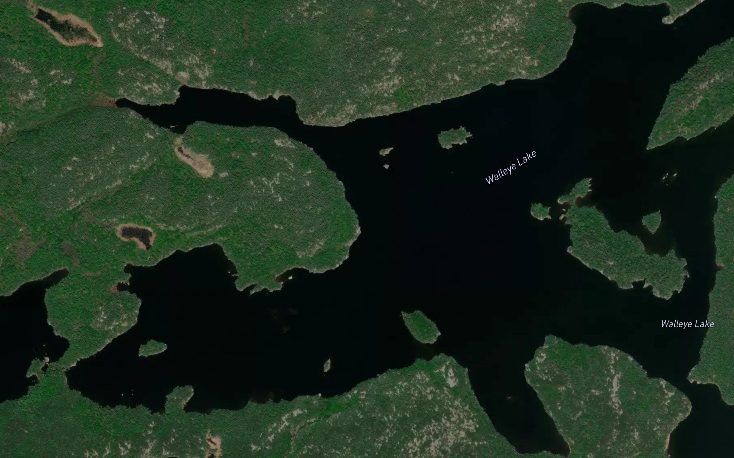 Walleye Lake