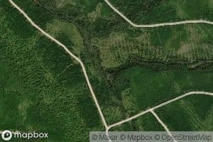 North Branch Spruce Brook