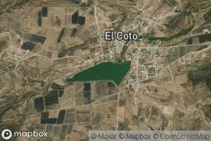 Satellite map of the El Coto