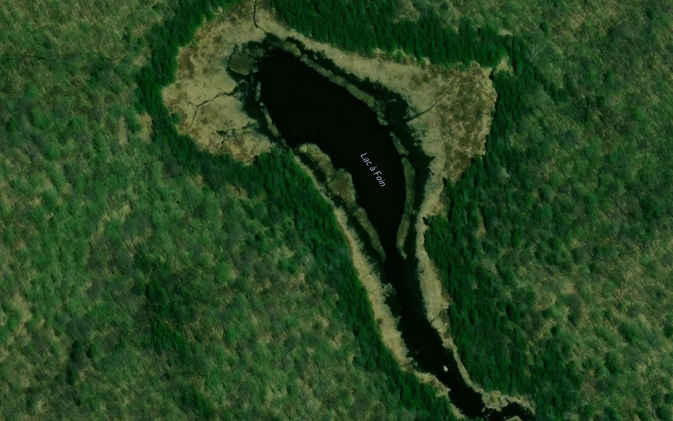 Le Petit Lac
