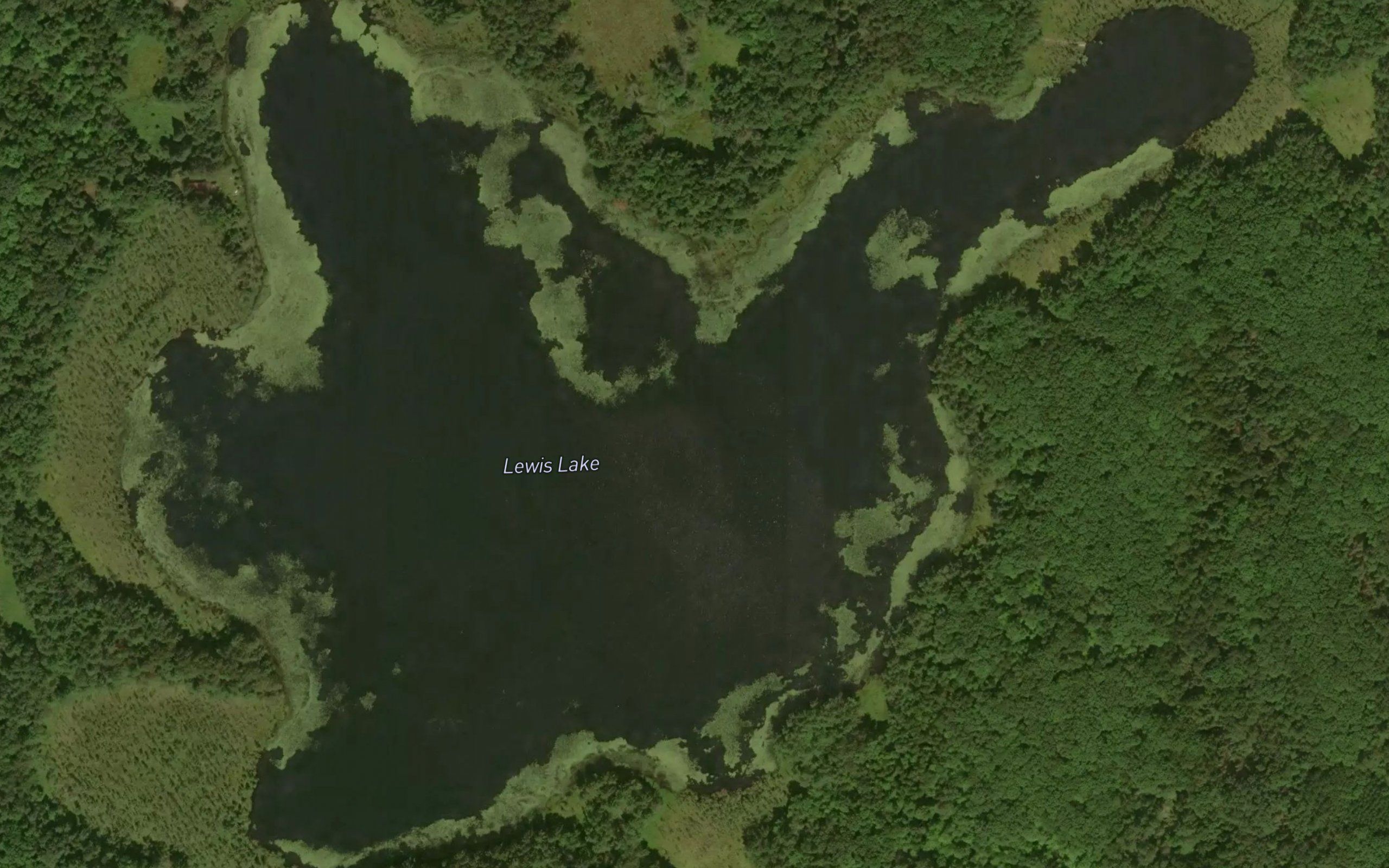 Lewis Lake