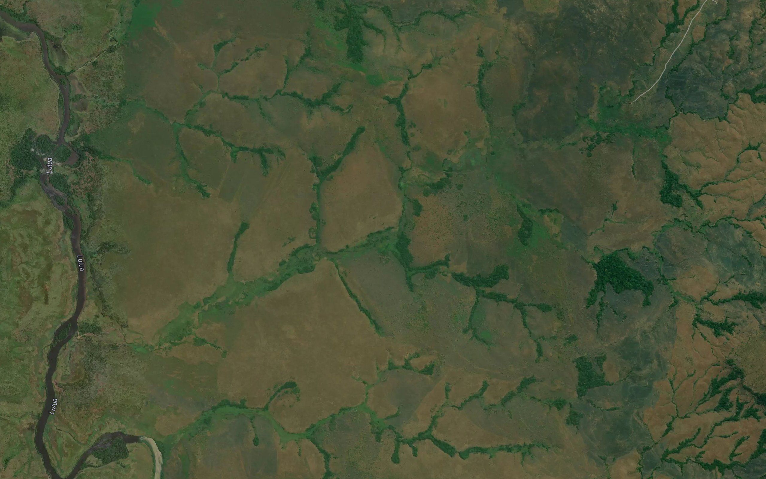 Kajinga