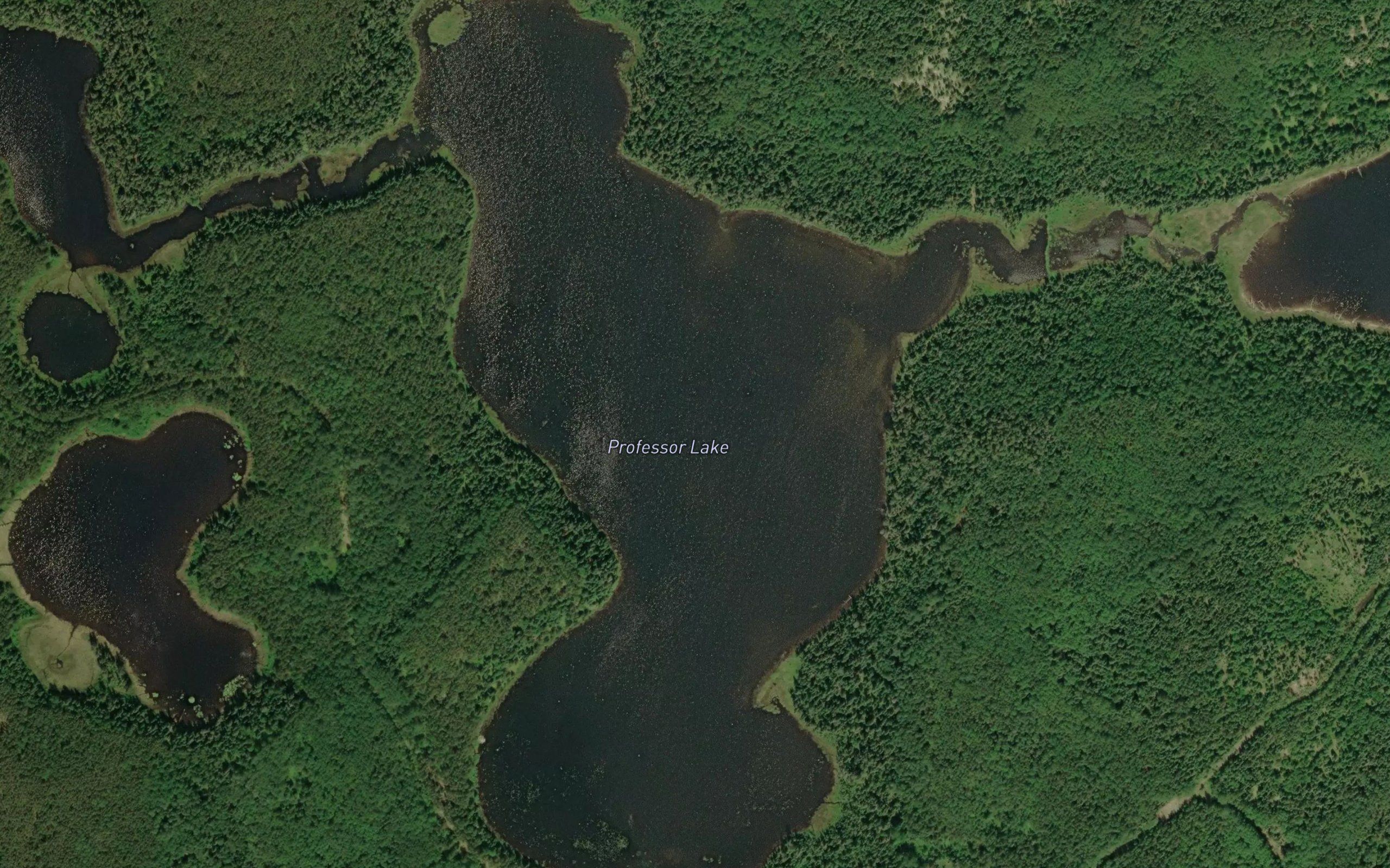 Professor Lake