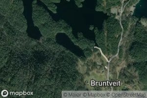 Bruntveit-