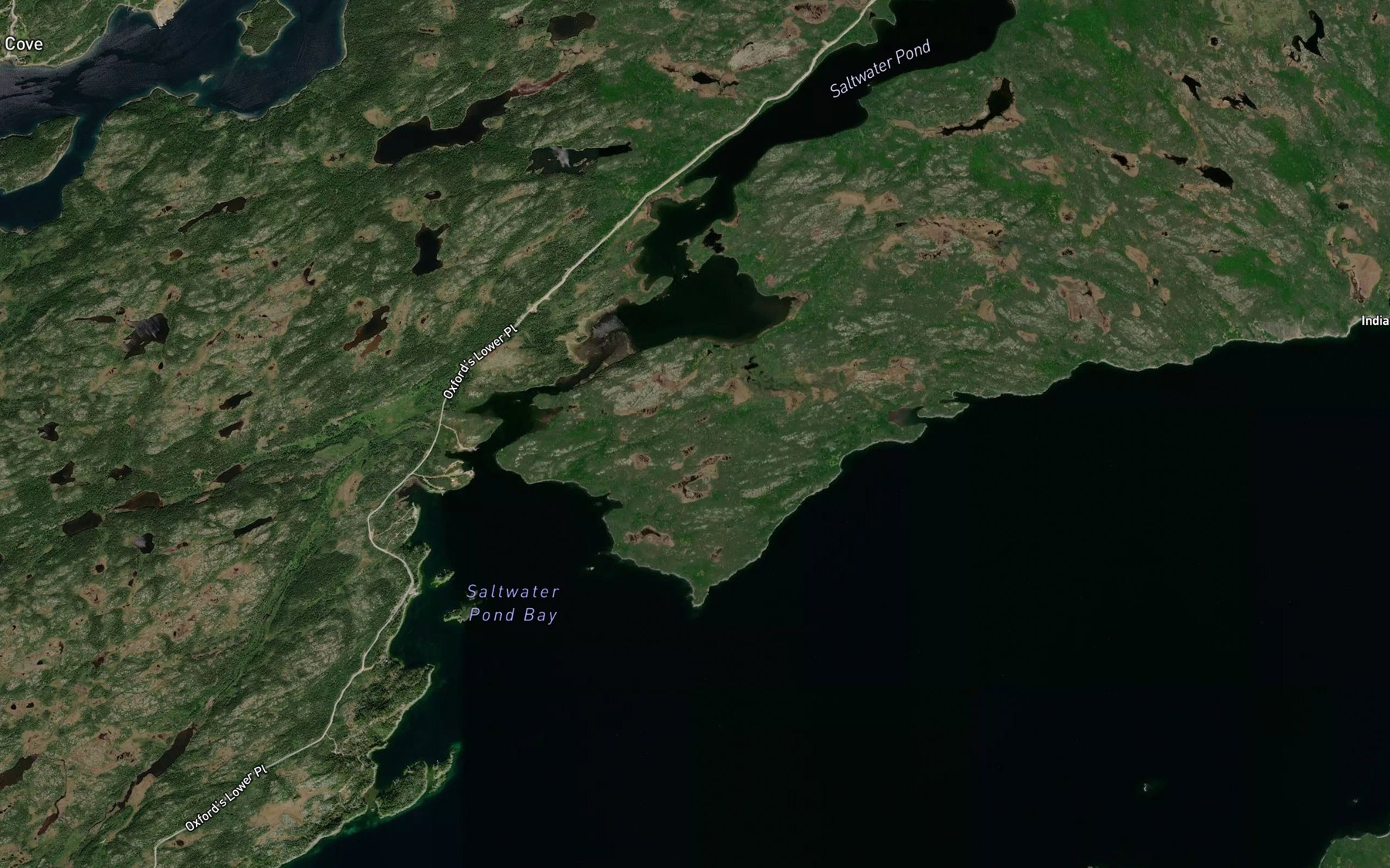 Satellite map of the Saltwater Pond