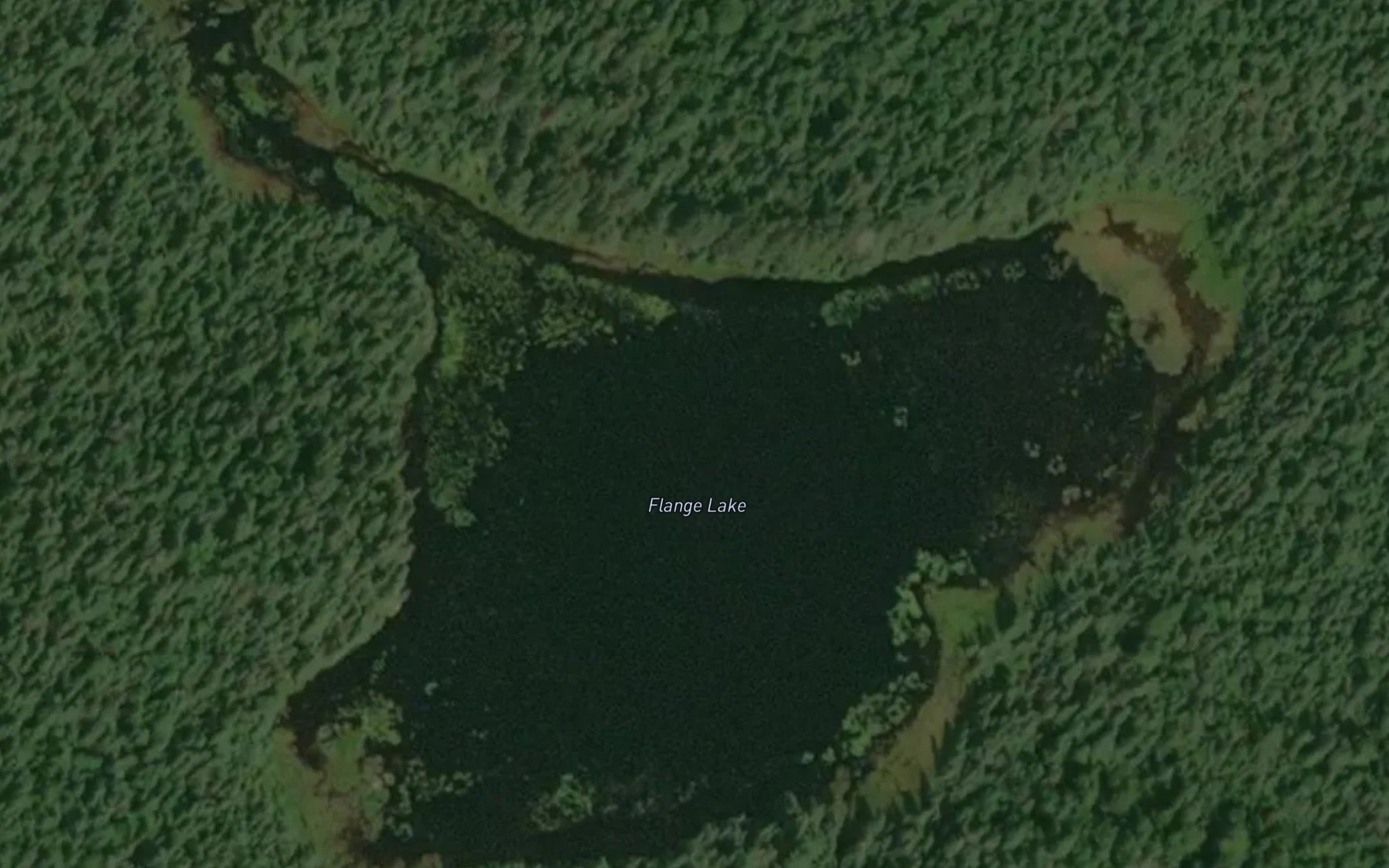 Satellite map of the Flange Lake