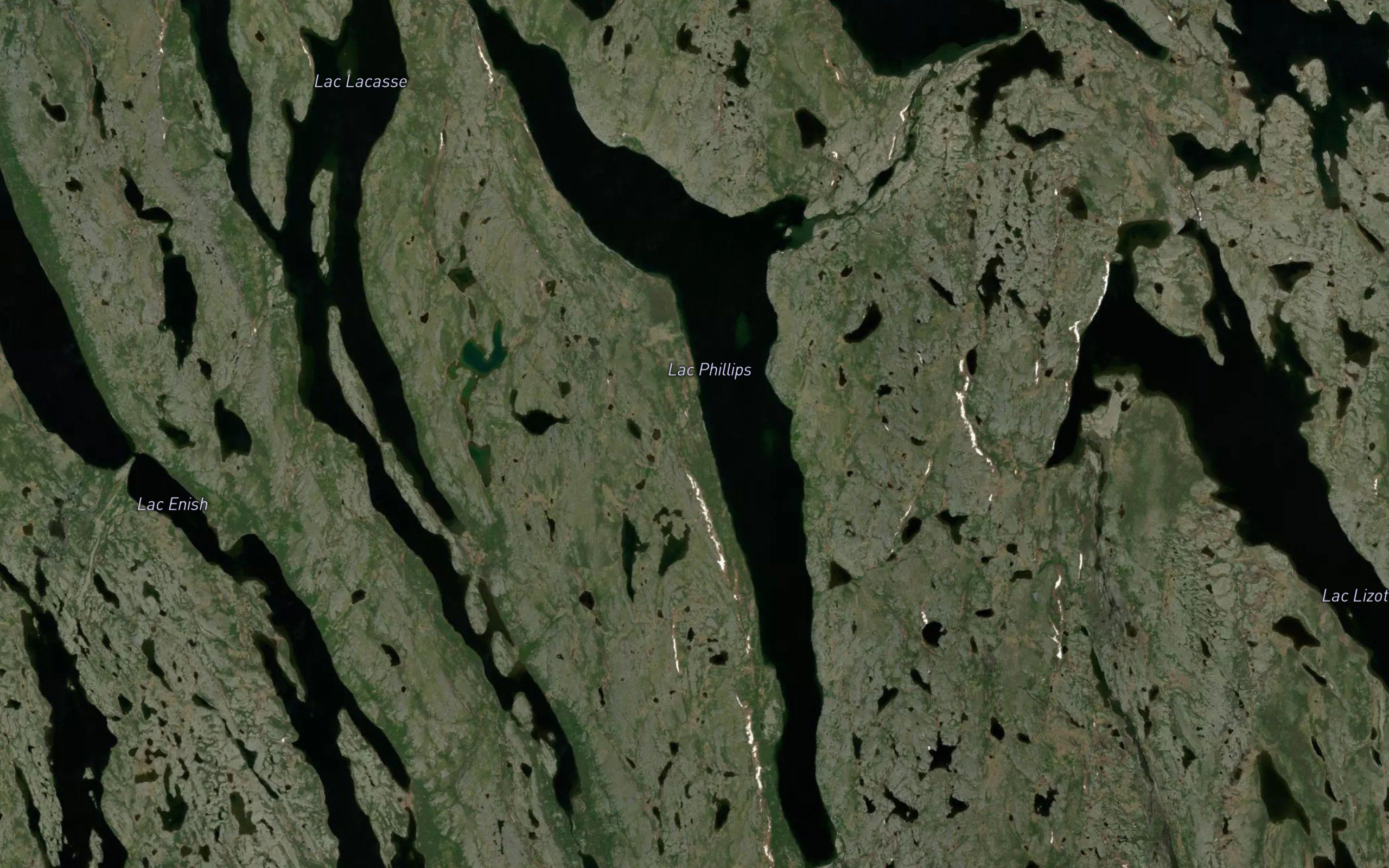 Lac Phillips