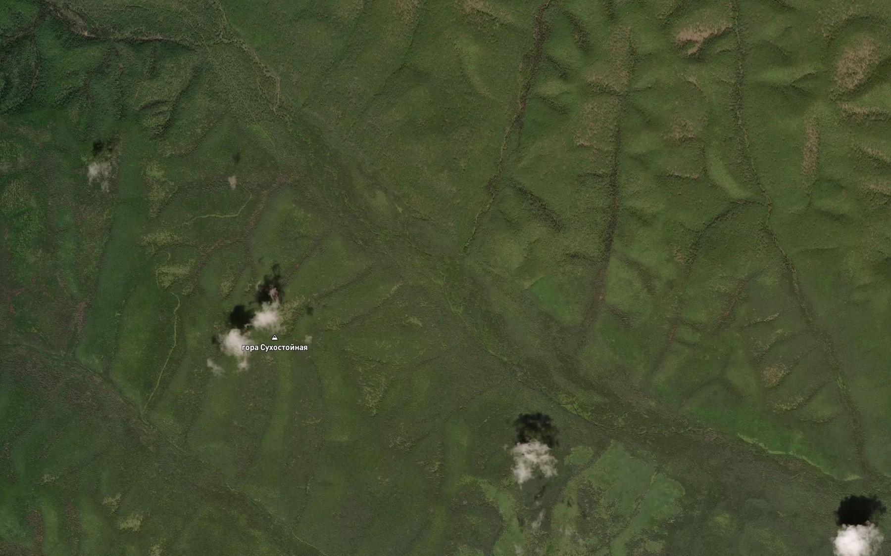 Satellite map of the Yuzhnyy