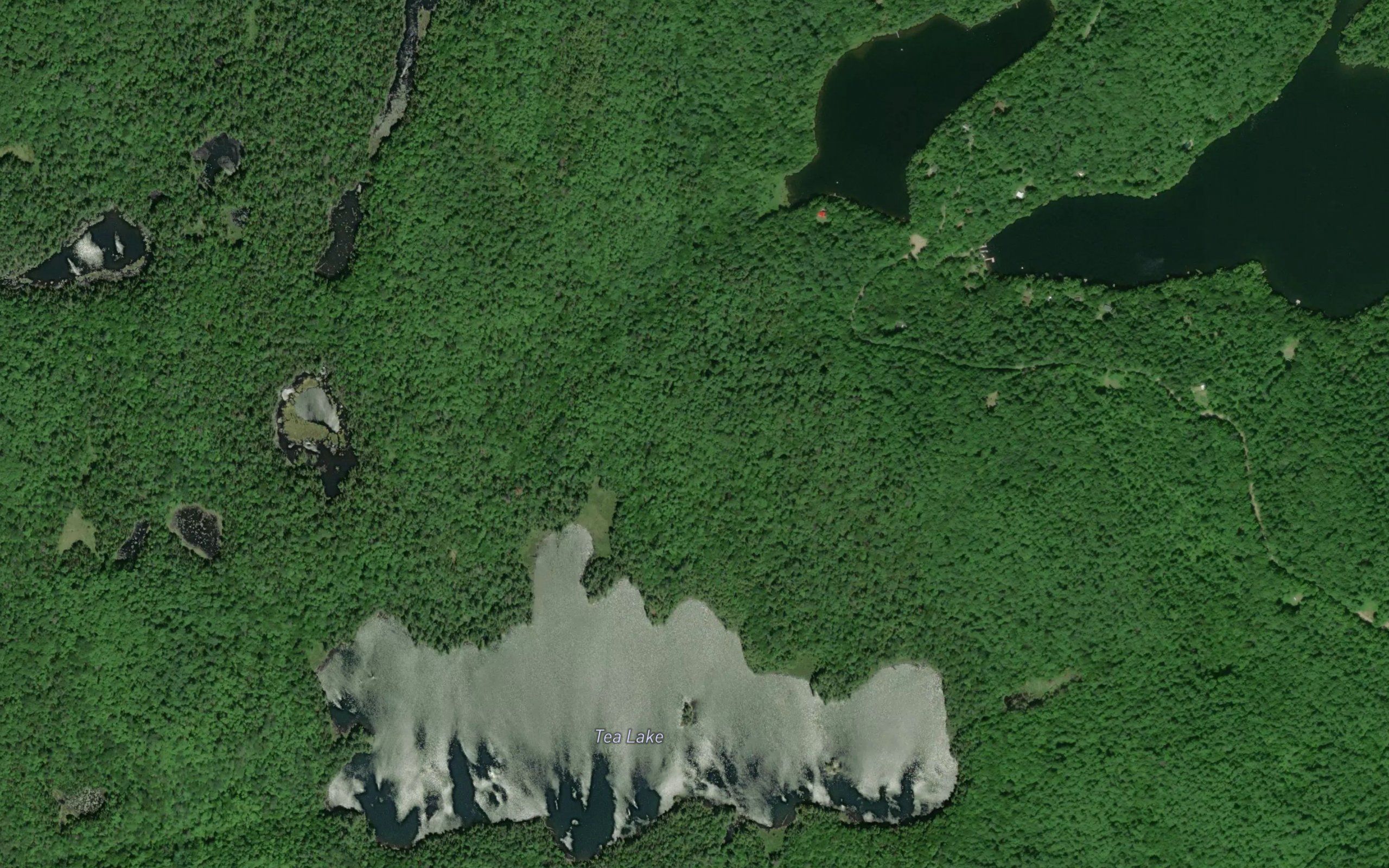 Tea Lake