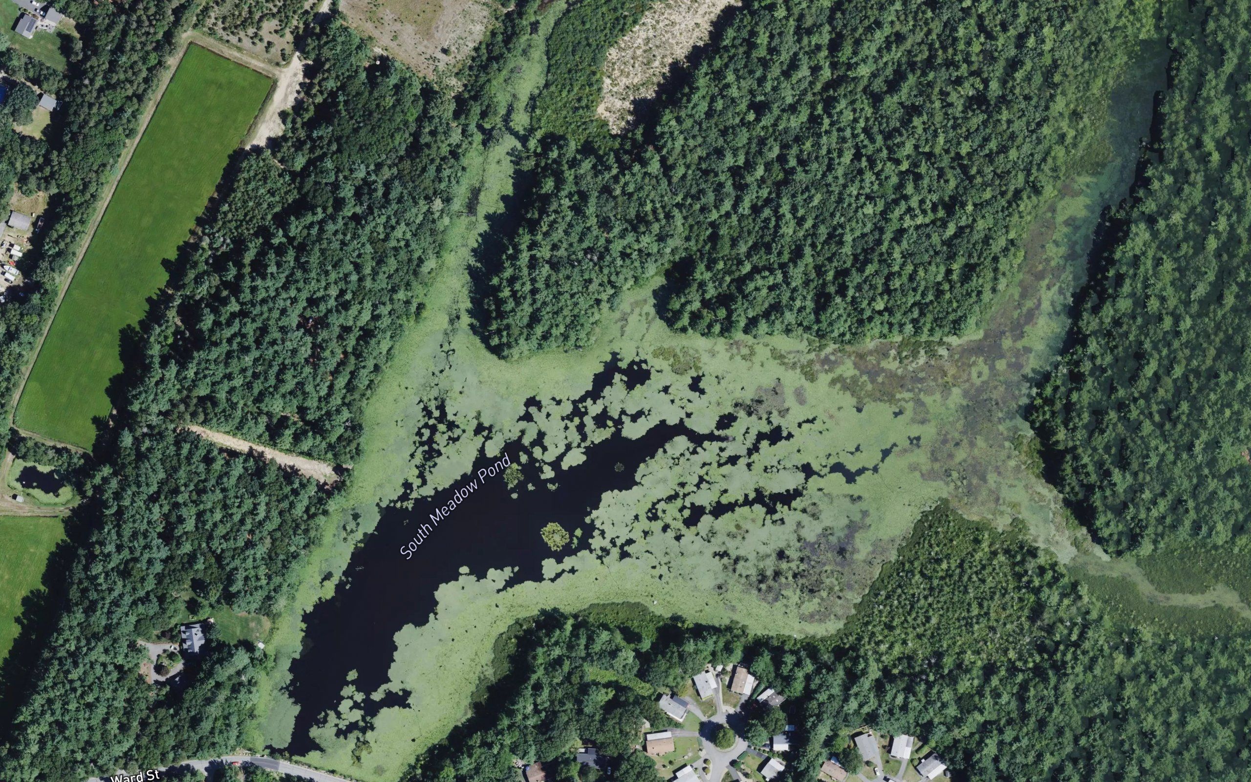 South Meadow Pond