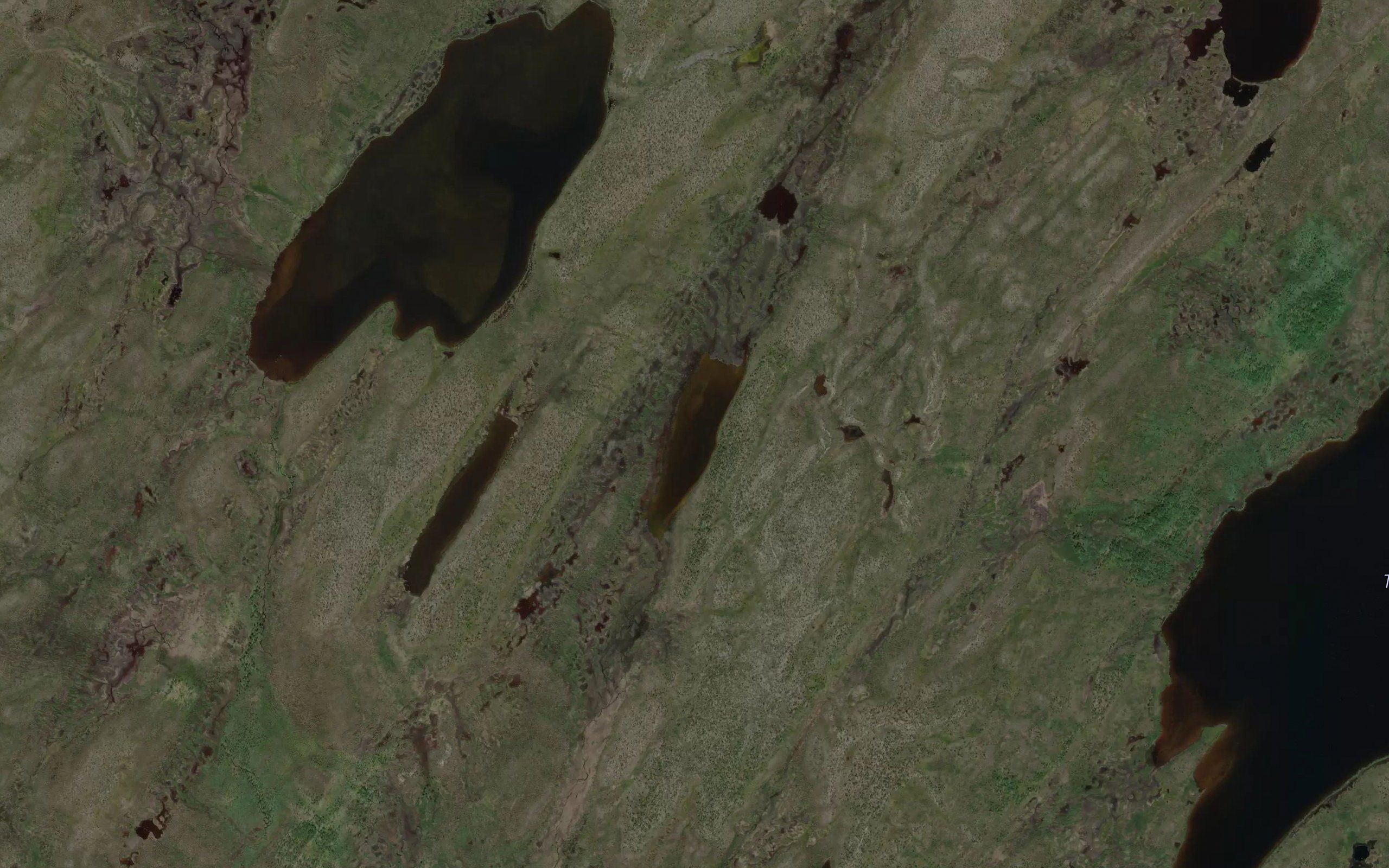 Isajavri