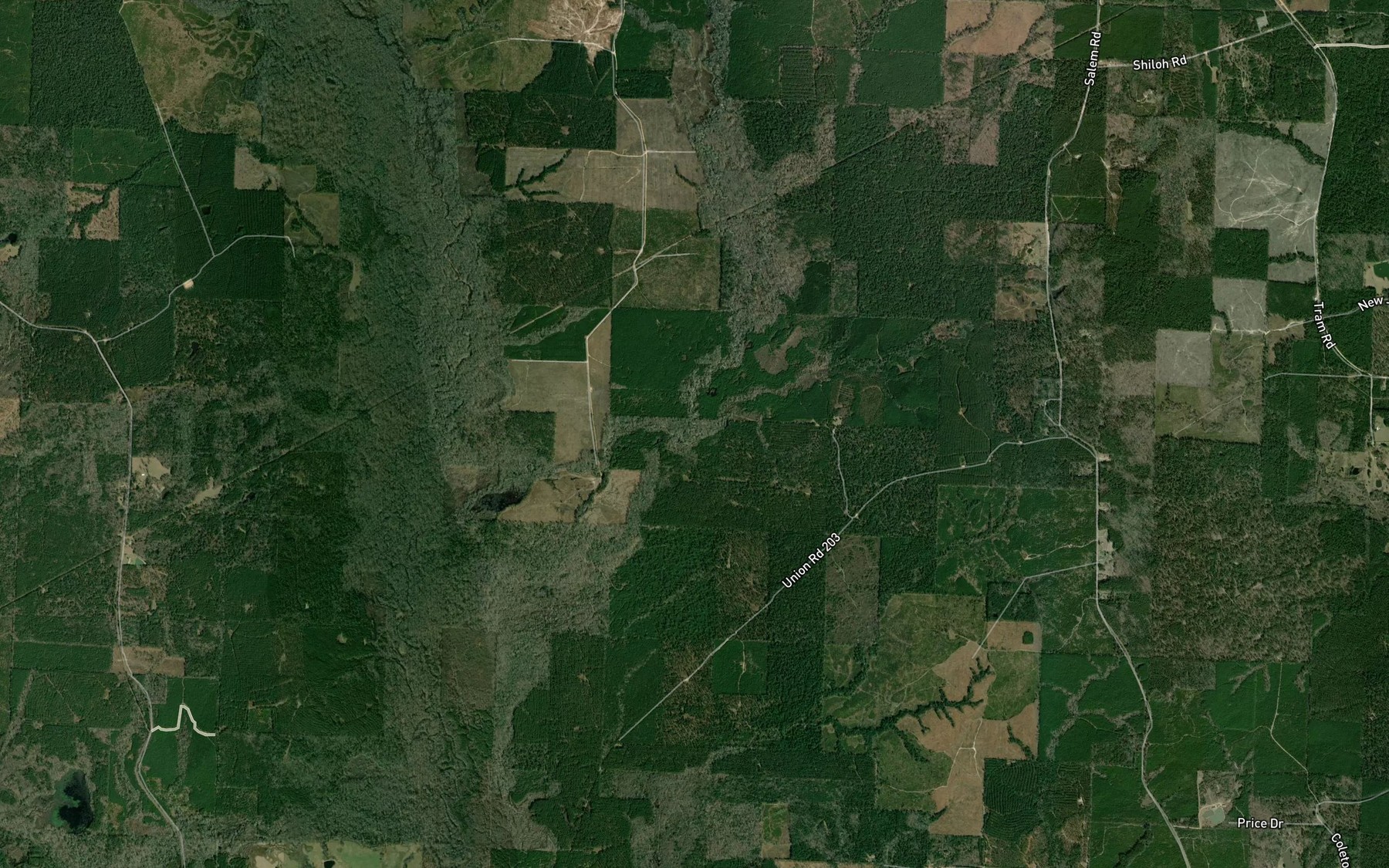 Satellite map of the Salem Branch