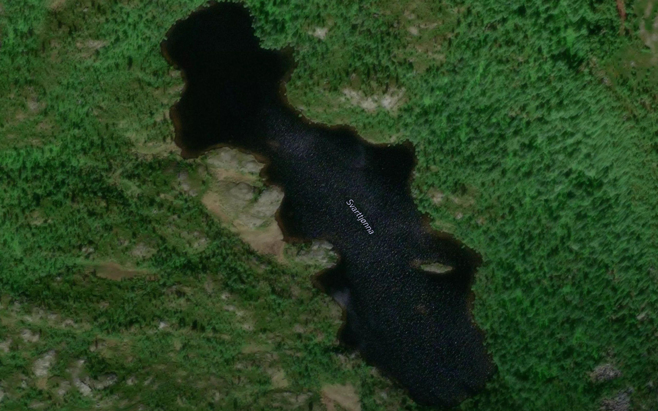 Svarttjorna