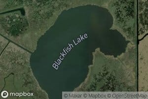 Blackfish Lake