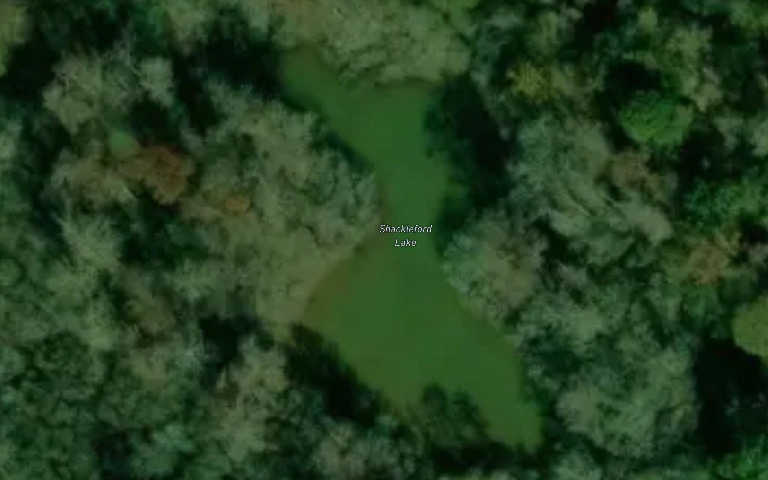 Shackleford Lake