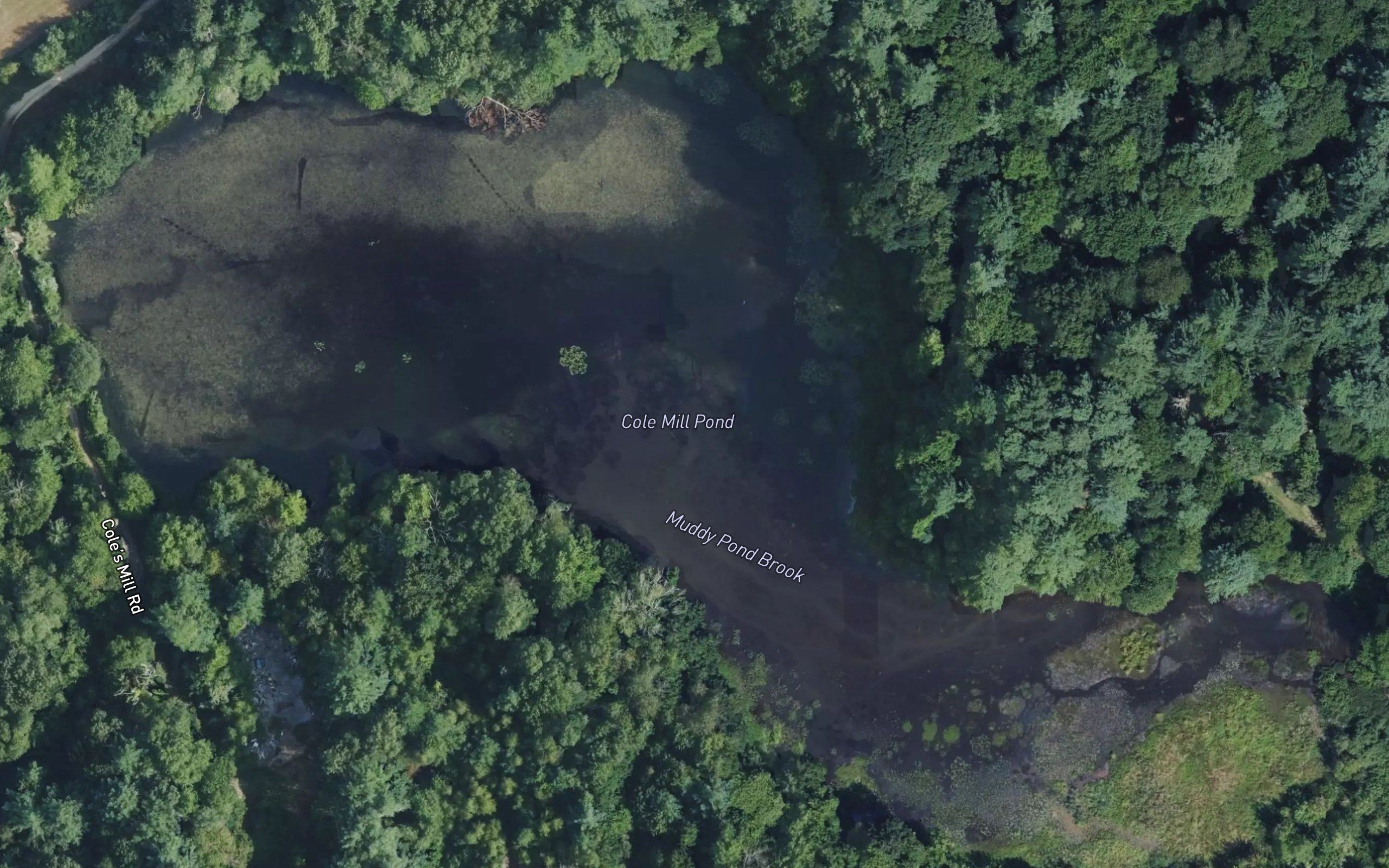 Cole Mill Pond