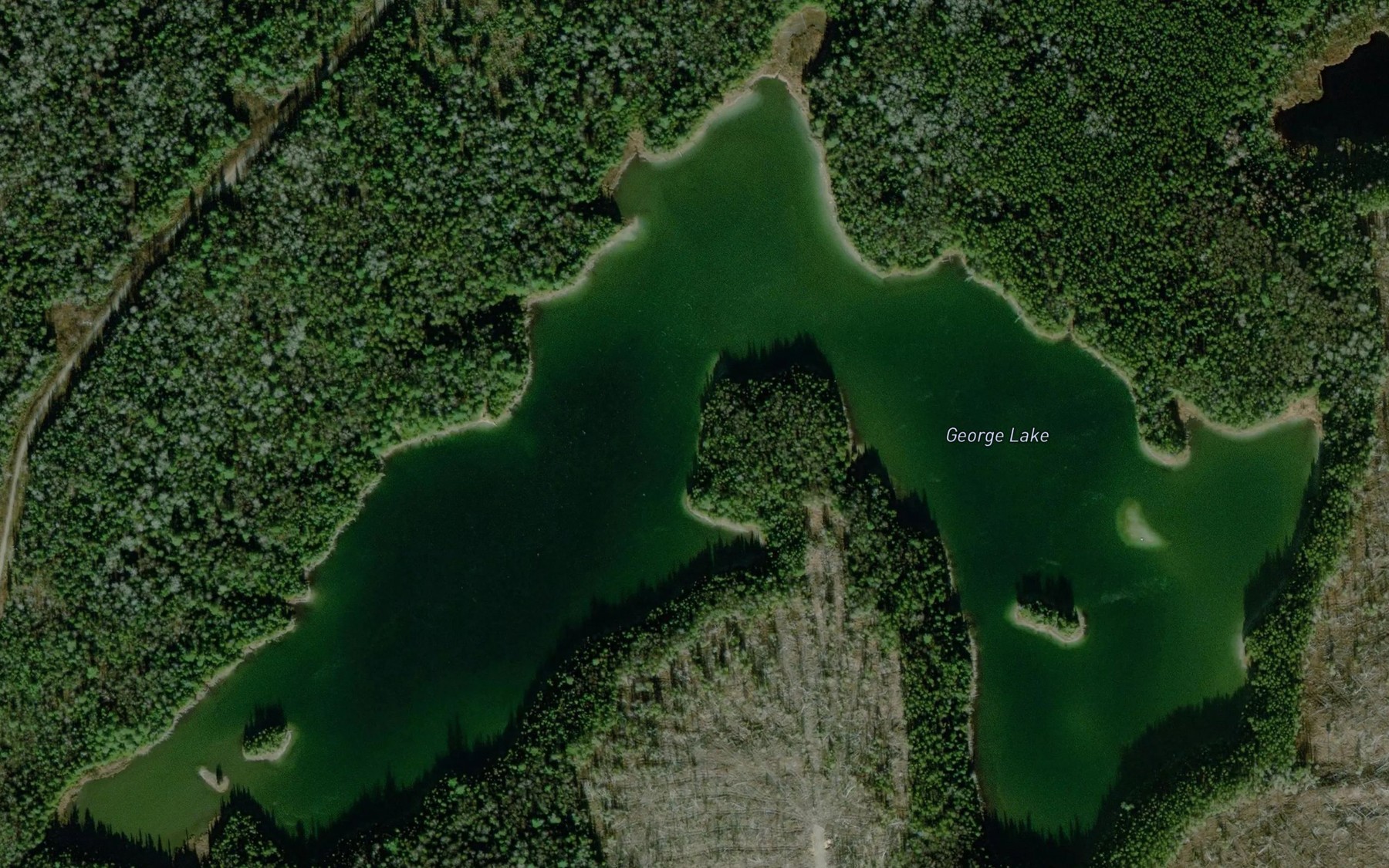 Satellite map of the George Lake