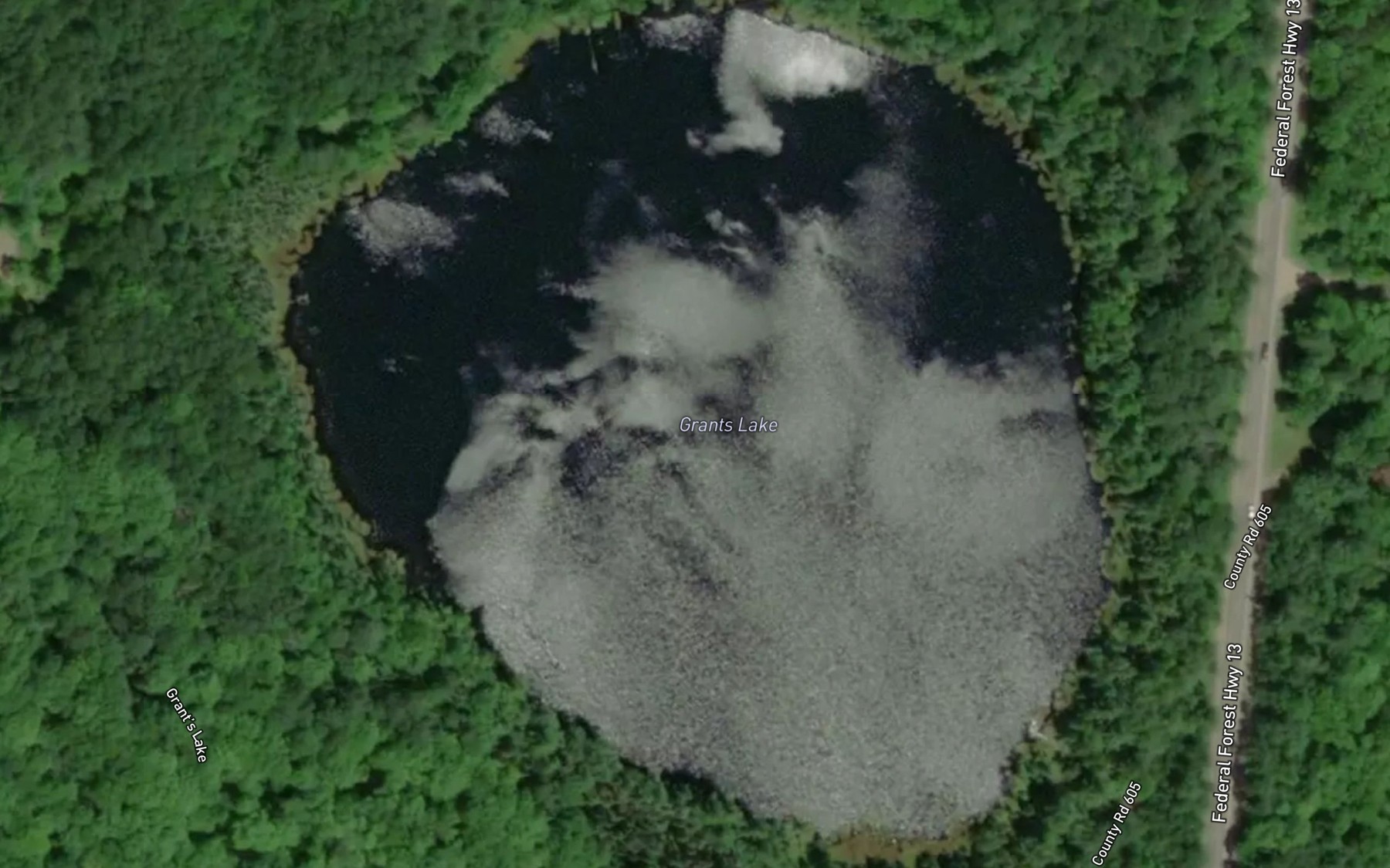 Satellite map of the Grants Lake