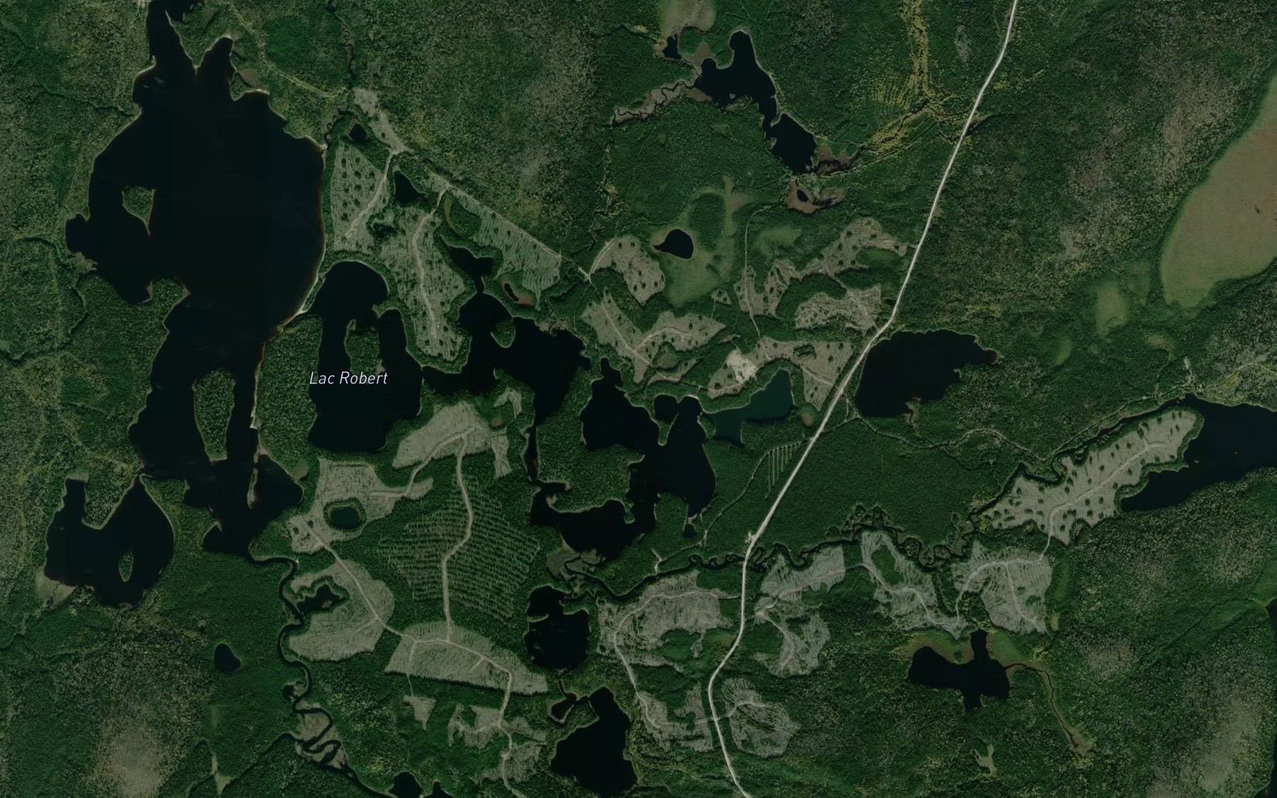 Satellite map of the Lac Robert