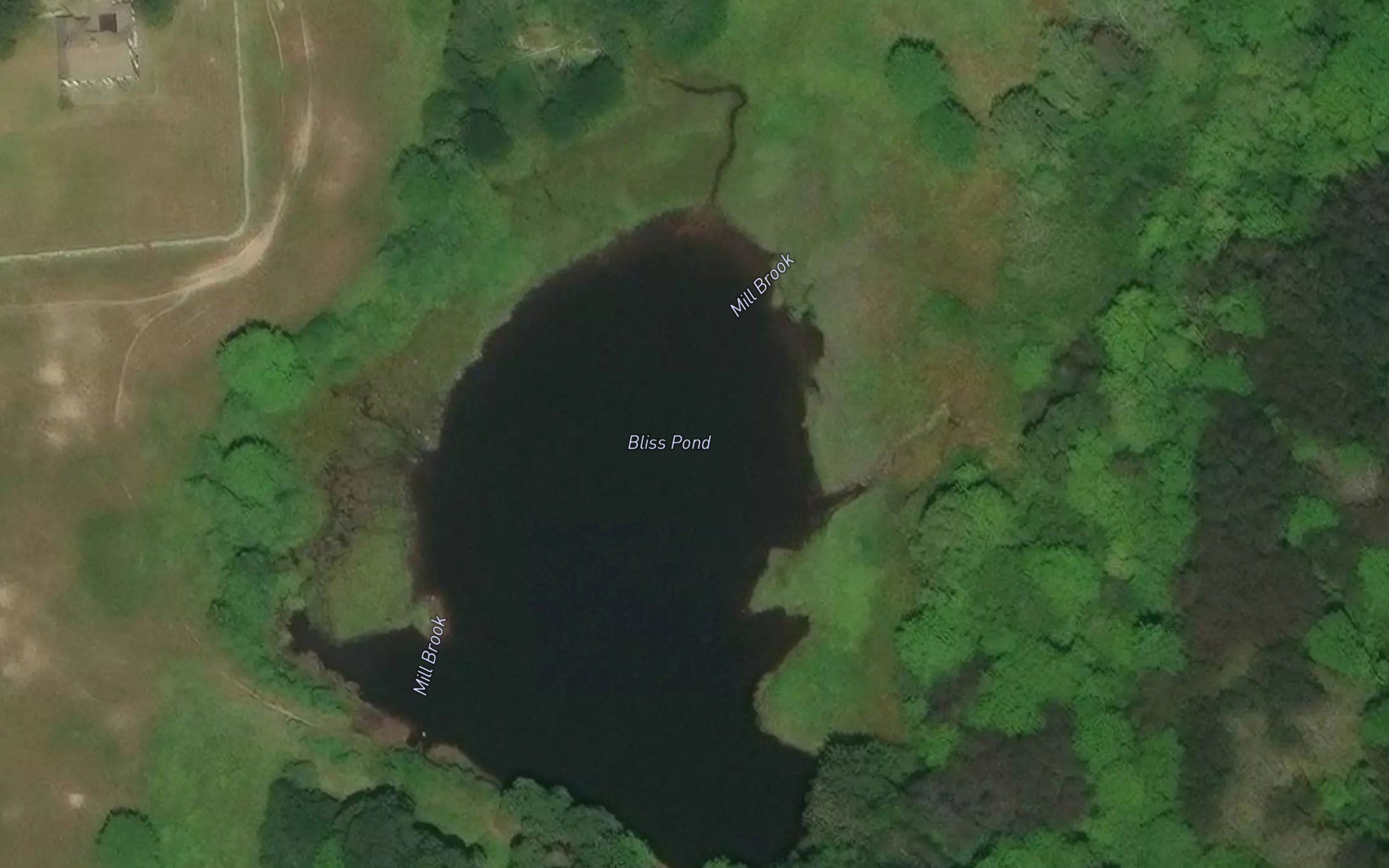 Bliss Pond